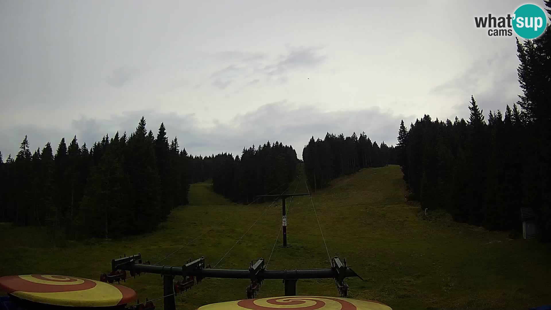 Comprensorio sciistico Rogla Webcam live Ostruščica piste 1 e 2