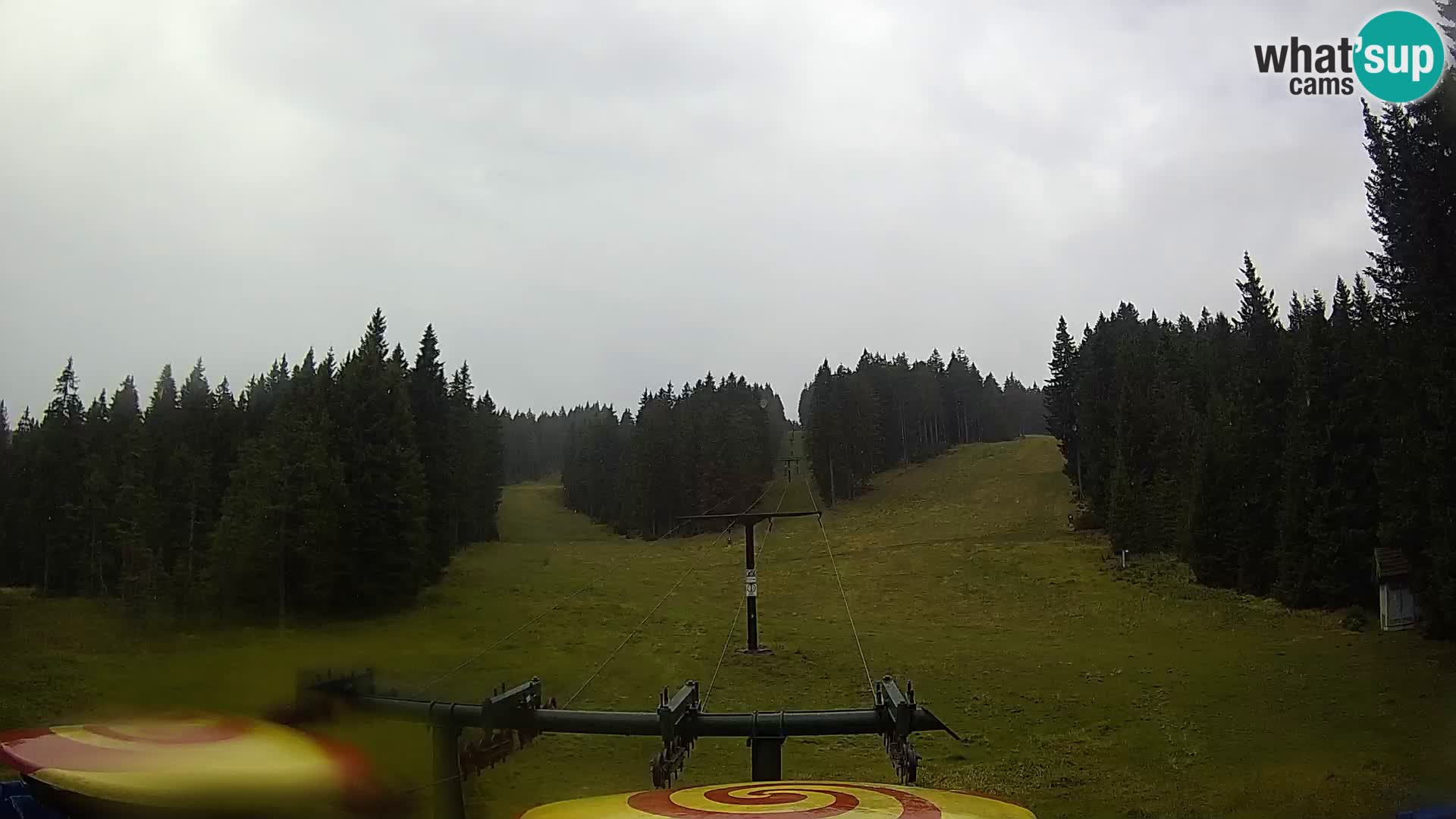 Station de ski Rogla Webcam Ostruščica pistes 1 et 2