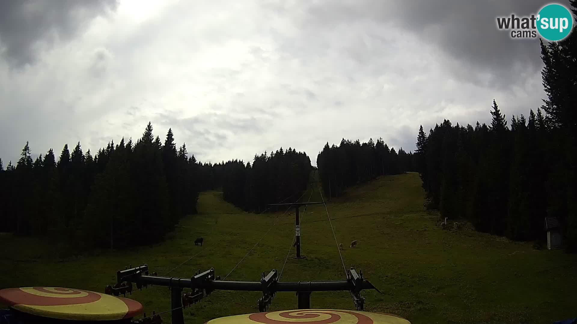 Skigebiet Rogla Webcam Ostruščica Piste 1 und 2