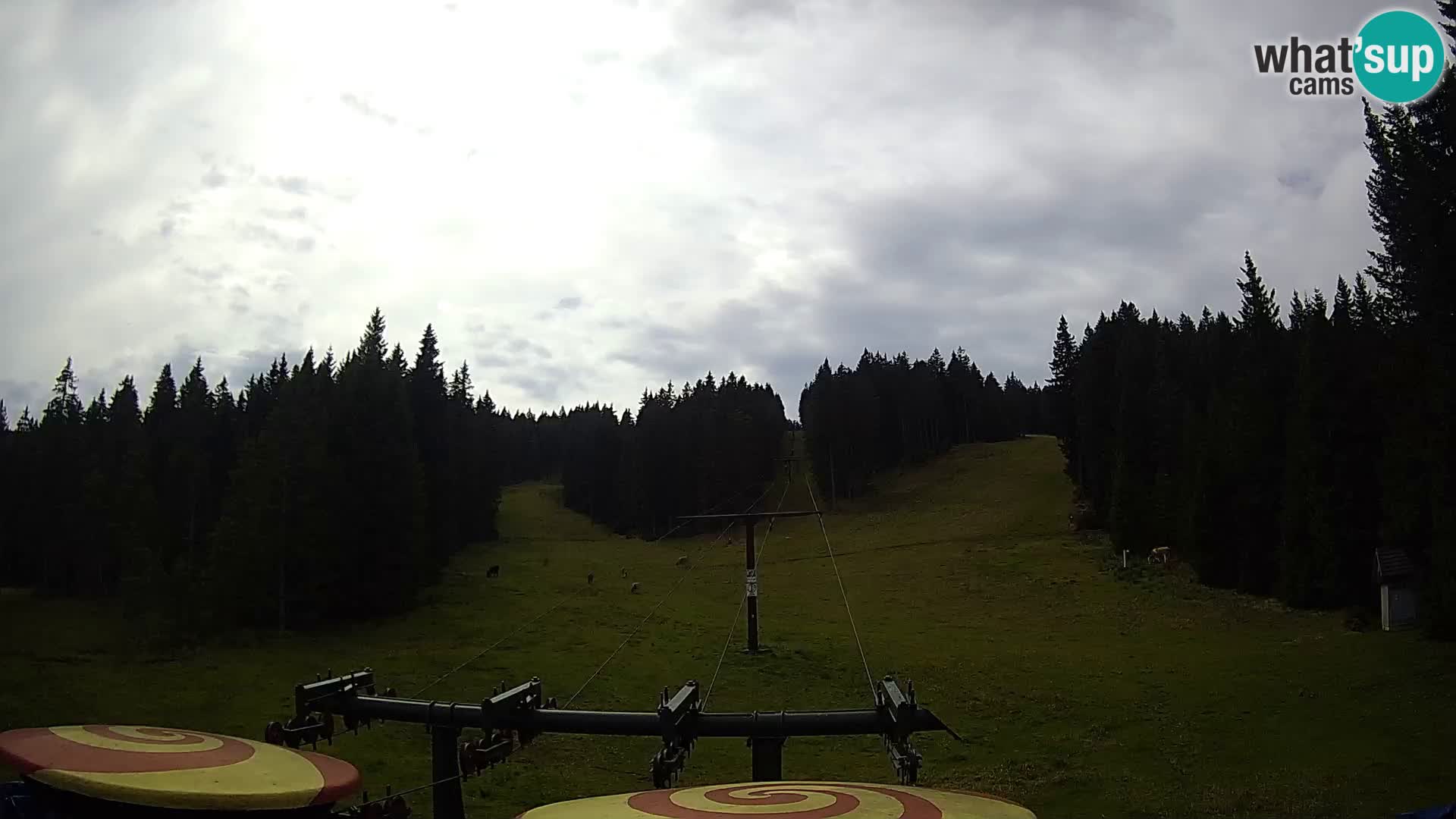 Station de ski Rogla Webcam Ostruščica pistes 1 et 2