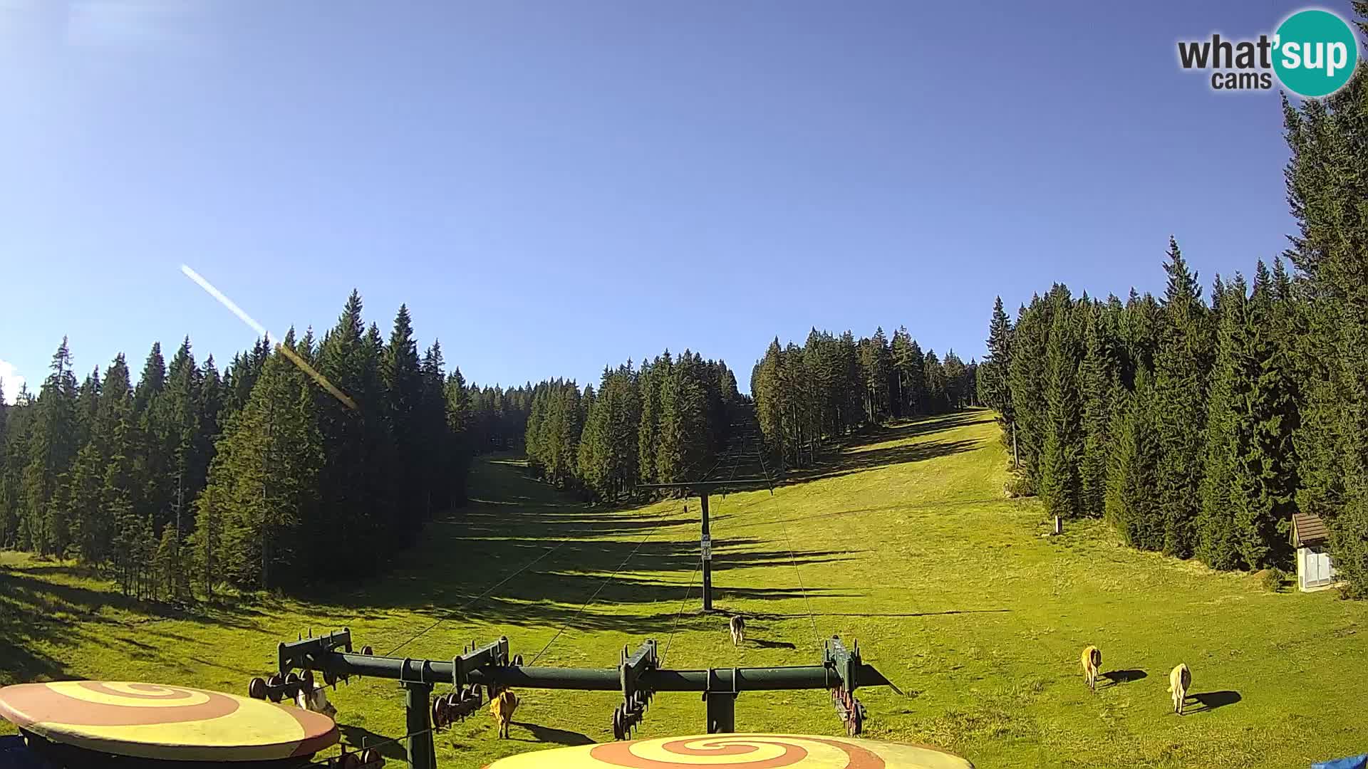 Skigebiet Rogla Webcam Ostruščica Piste 1 und 2