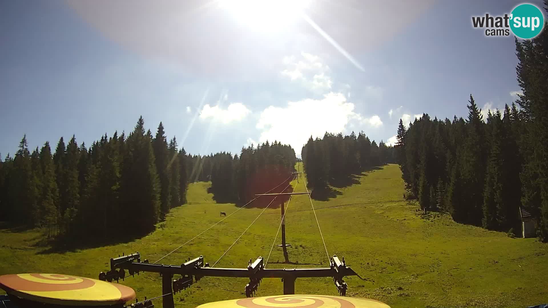 Webcam Live Rogla ski resort – Ostruščica