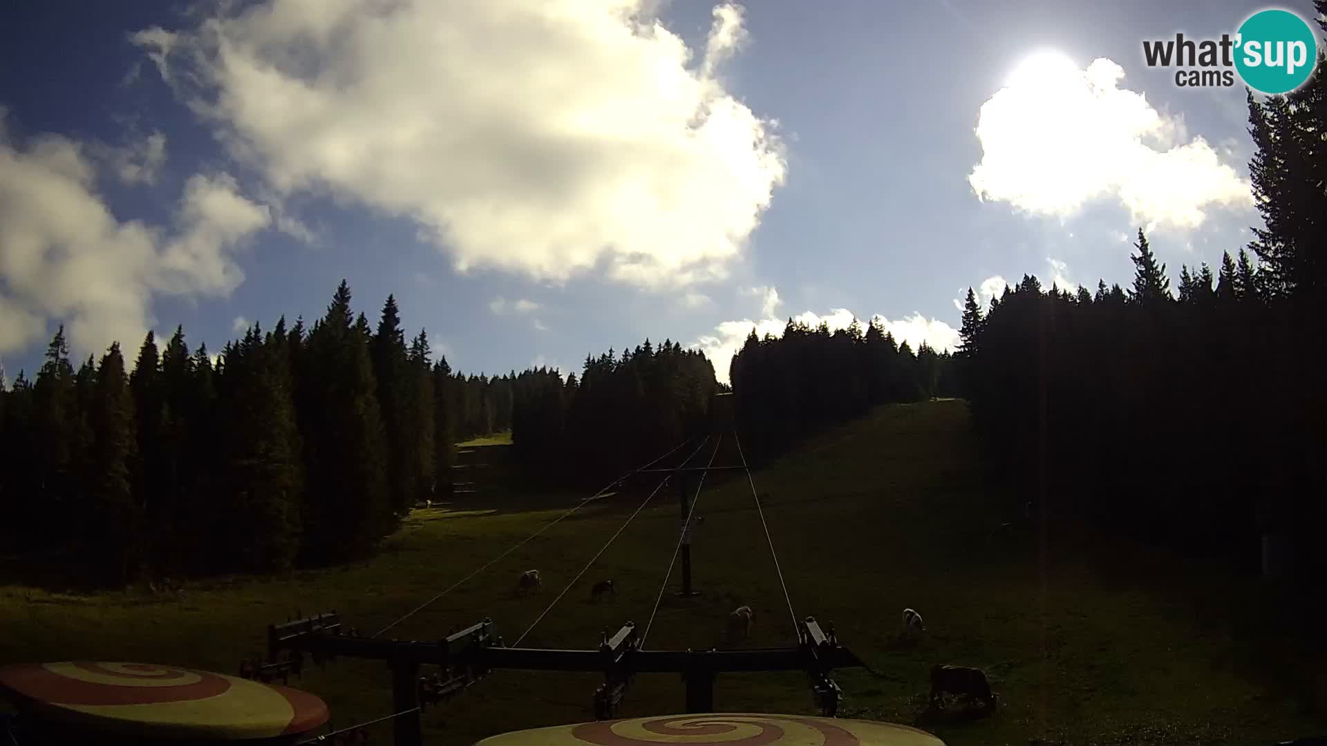 Comprensorio sciistico Rogla Webcam live Ostruščica piste 1 e 2