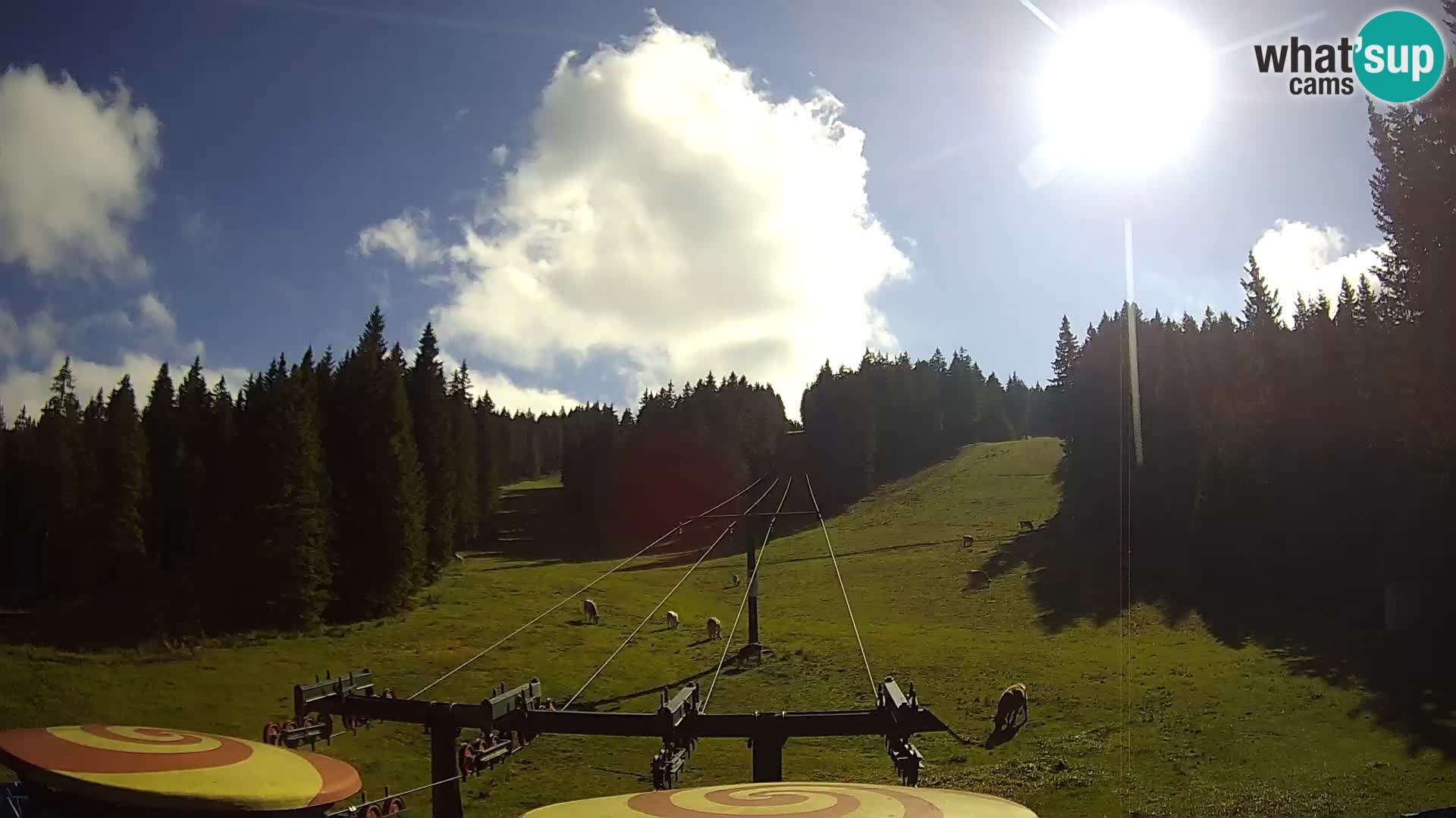 Skigebiet Rogla Webcam Ostruščica Piste 1 und 2