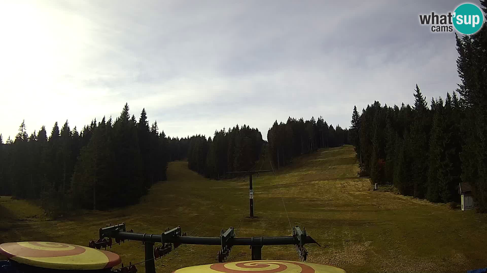 Comprensorio sciistico Rogla Webcam live Ostruščica piste 1 e 2
