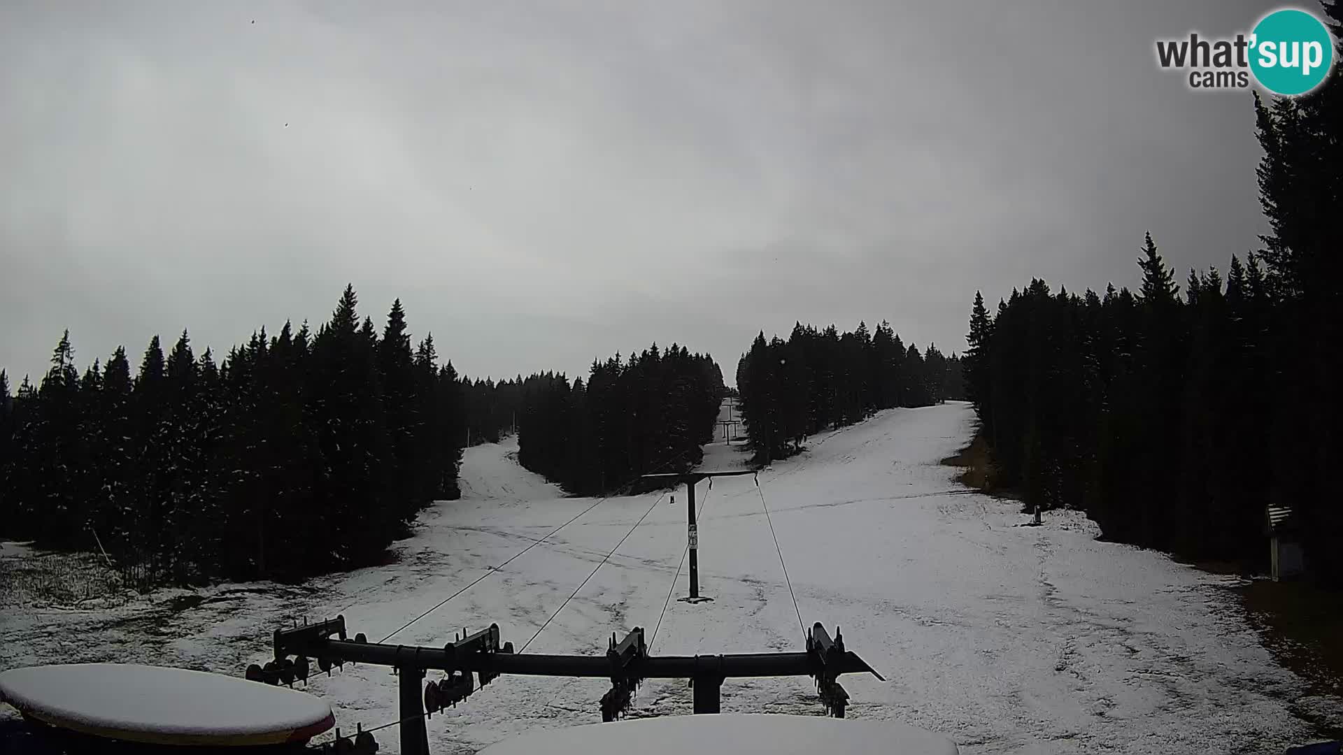 Comprensorio sciistico Rogla Webcam live Ostruščica piste 1 e 2