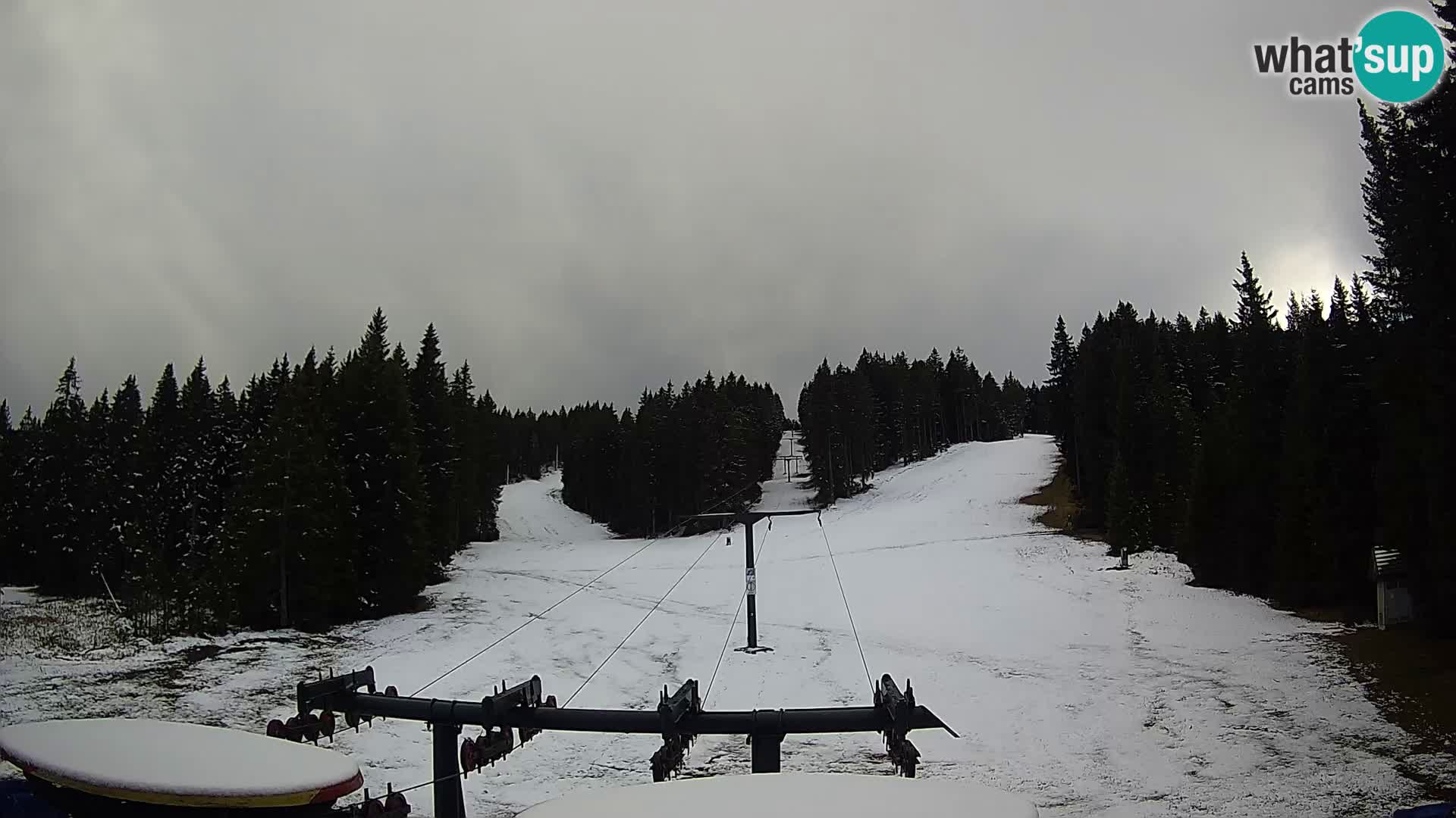 Webcam Live Rogla ski resort – Ostruščica