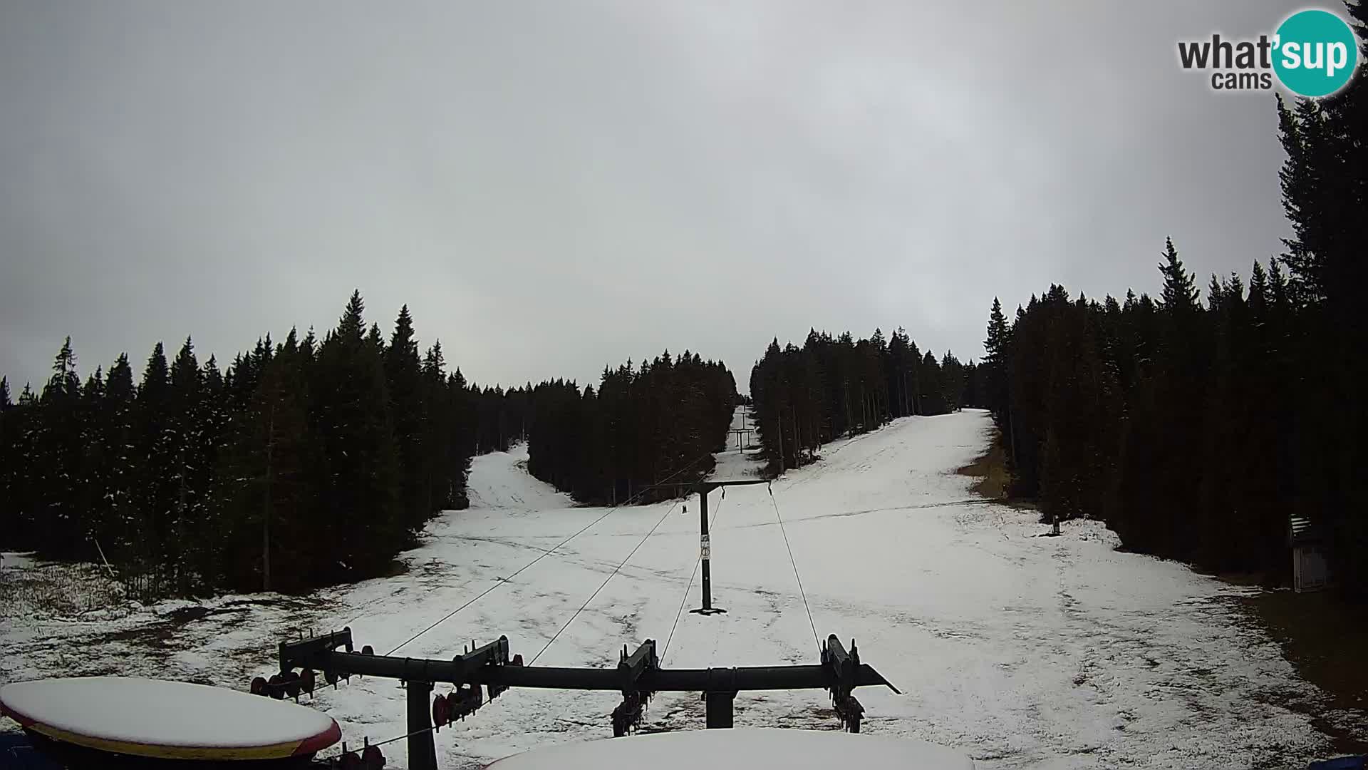 Webcam Live Rogla ski resort – Ostruščica
