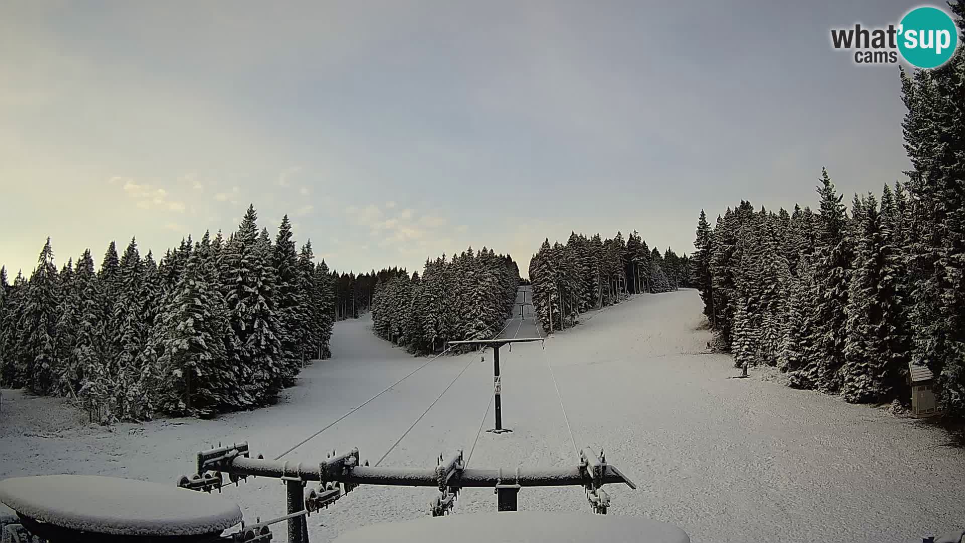 Webcam Live Rogla ski resort – Ostruščica