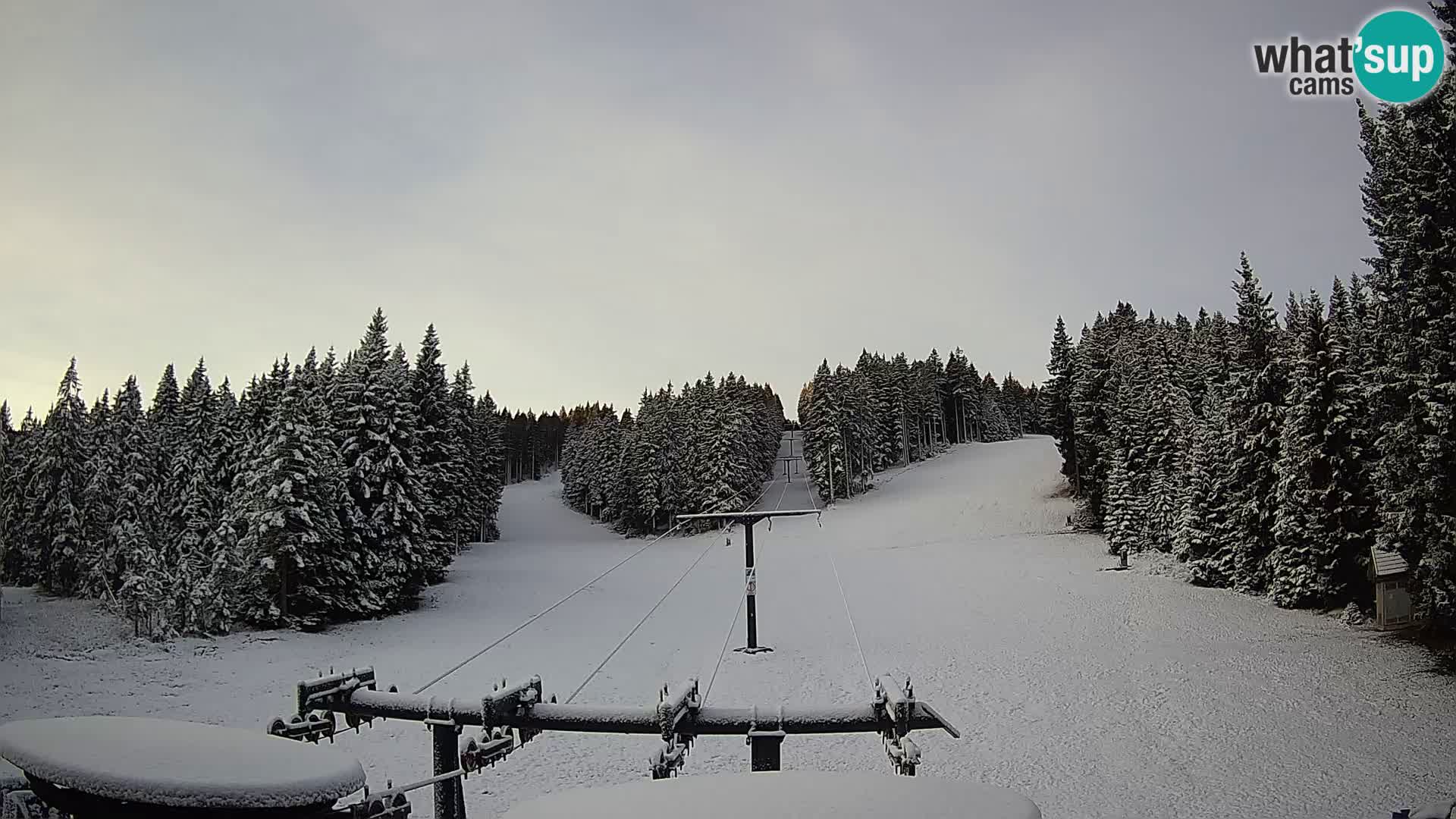 Comprensorio sciistico Rogla Webcam live Ostruščica piste 1 e 2