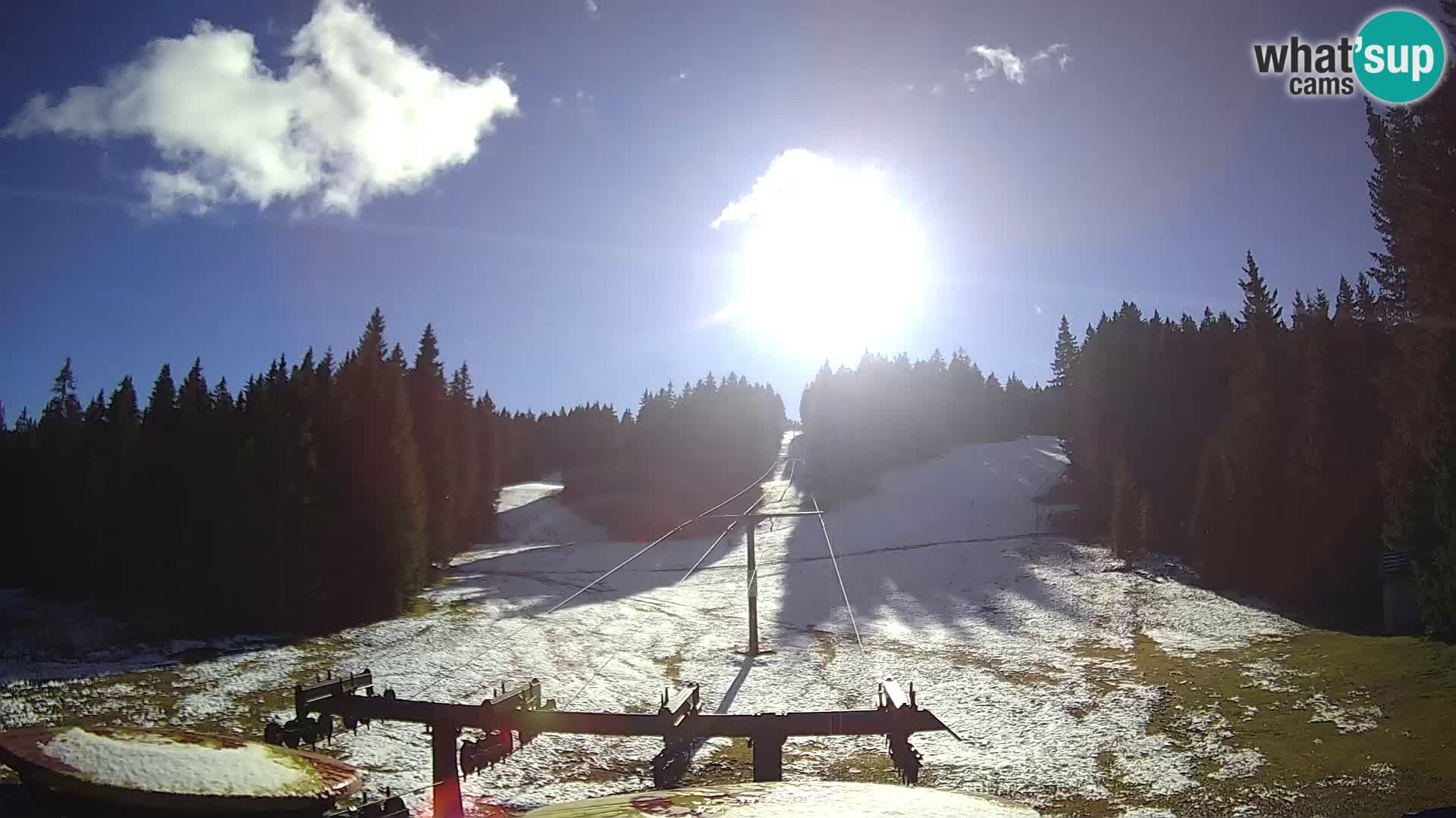 Station de ski Rogla Webcam Ostruščica pistes 1 et 2