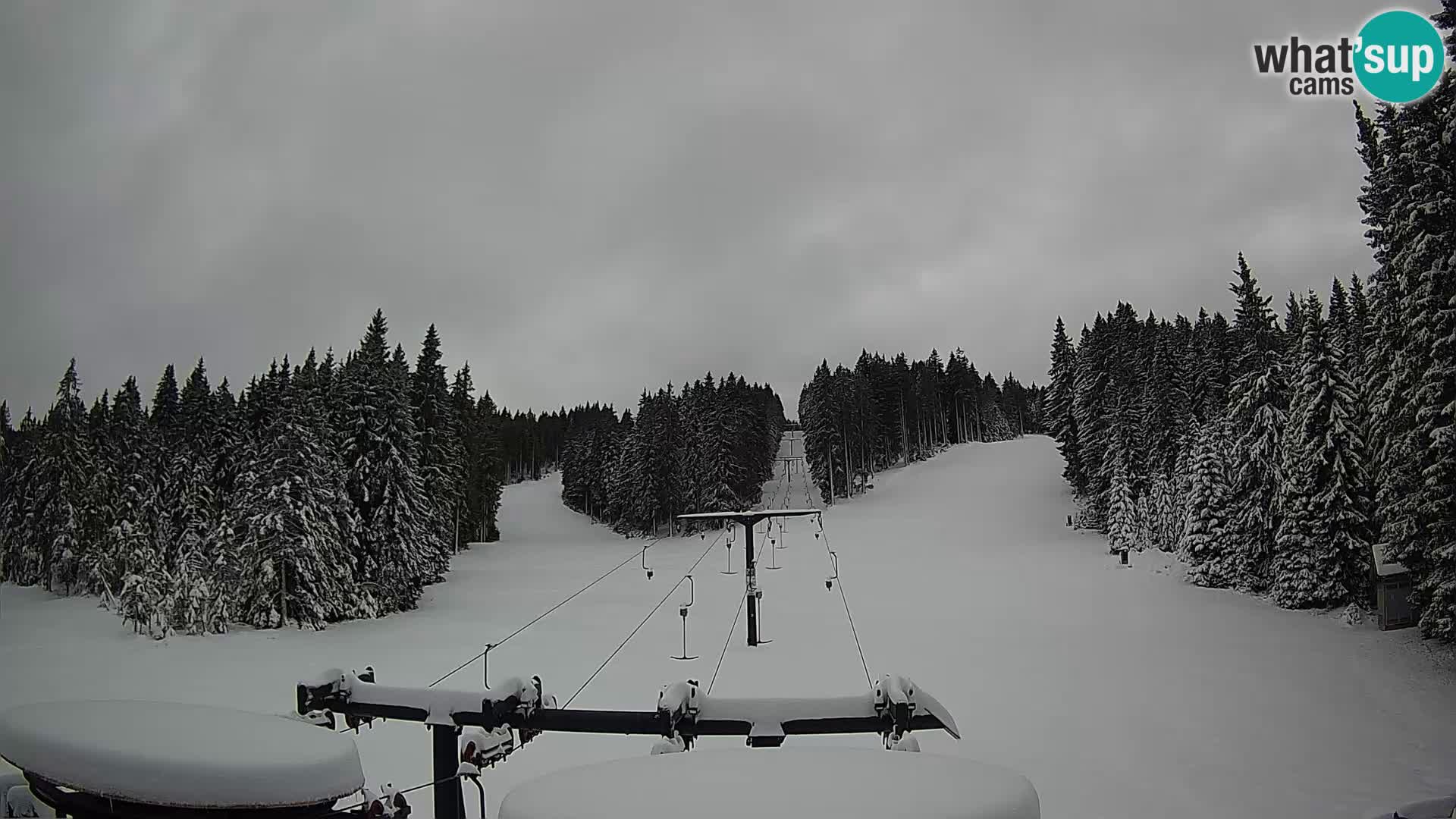 Skigebiet Rogla Webcam Ostruščica Piste 1 und 2