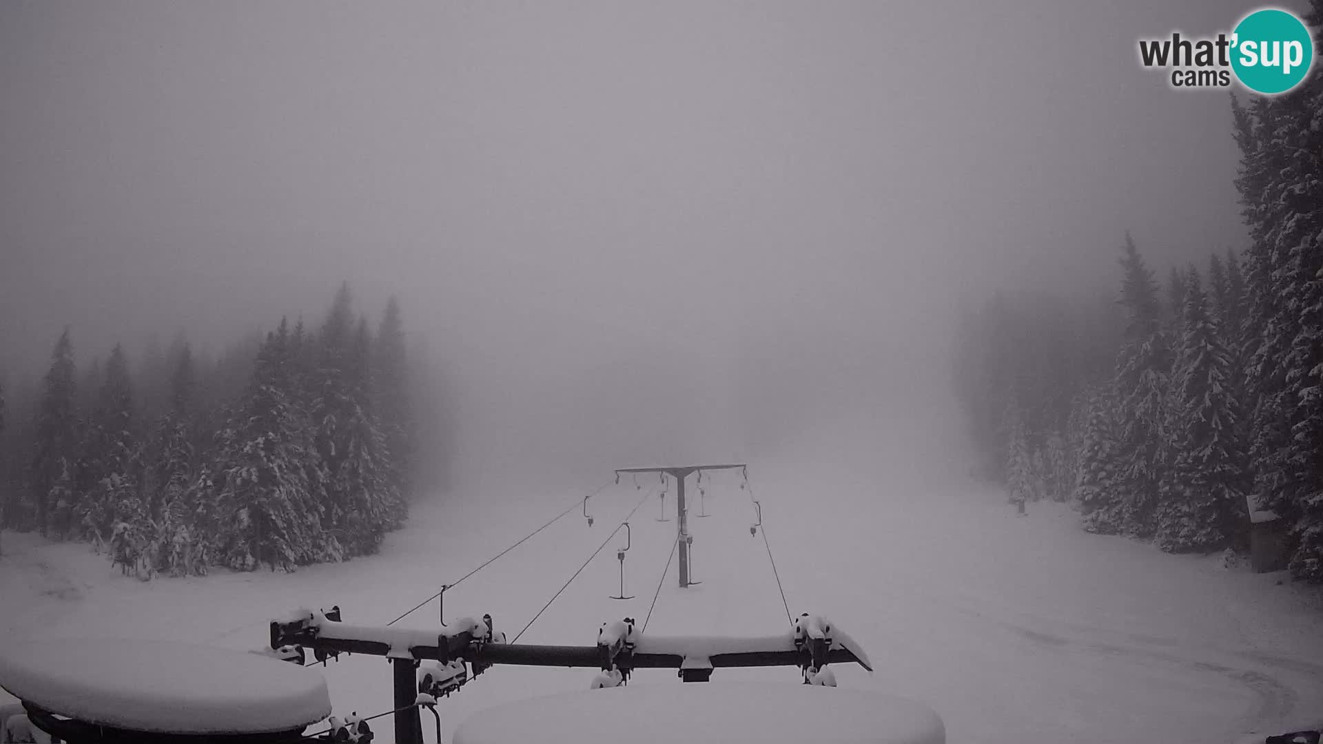 Comprensorio sciistico Rogla Webcam live Ostruščica piste 1 e 2