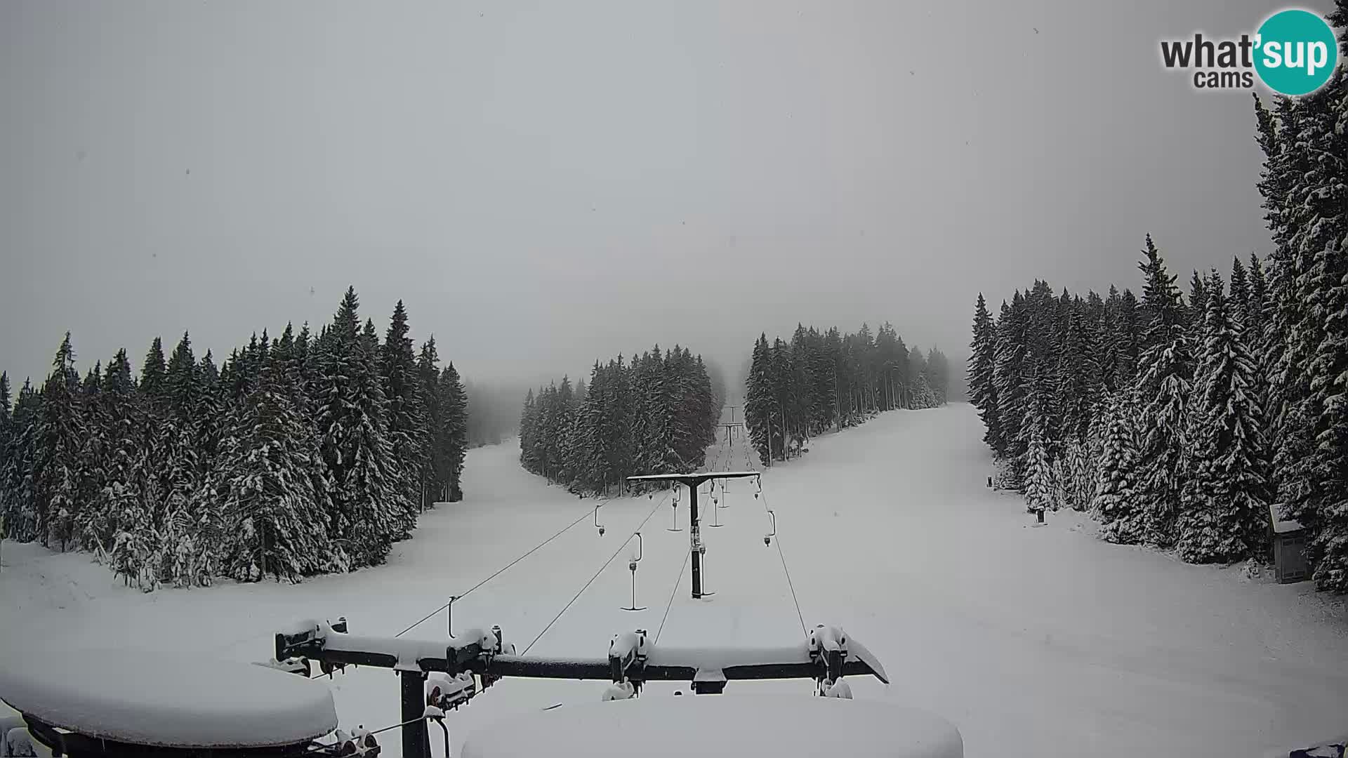 Webcam Live Rogla ski resort – Ostruščica