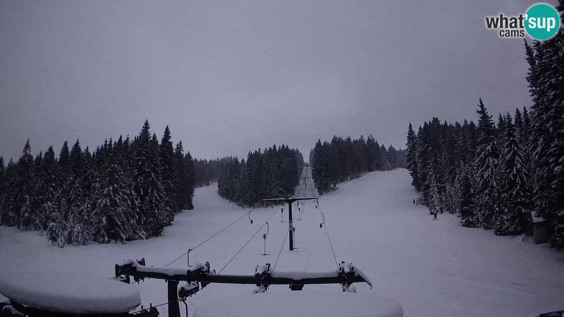 Comprensorio sciistico Rogla Webcam live Ostruščica piste 1 e 2