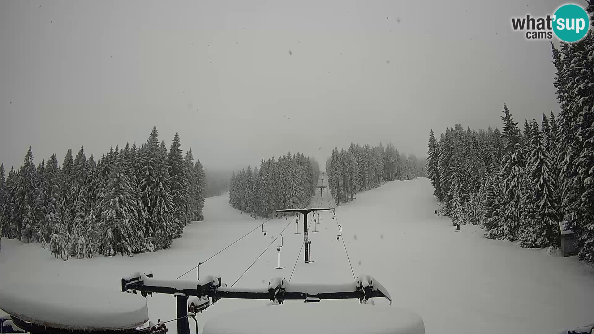 Webcam Live Rogla ski resort – Ostruščica