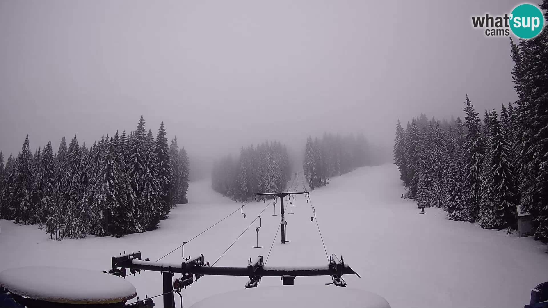 Comprensorio sciistico Rogla Webcam live Ostruščica piste 1 e 2