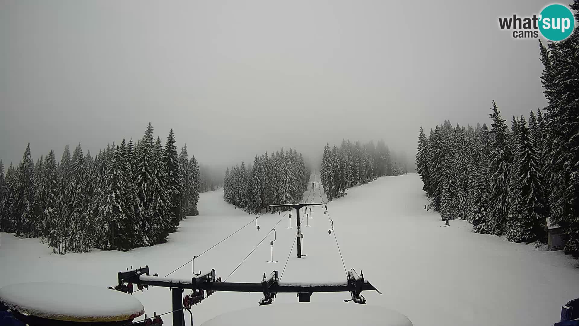 Estación de esquí Rogla Webcam Ostruščica pistas 1 y 2