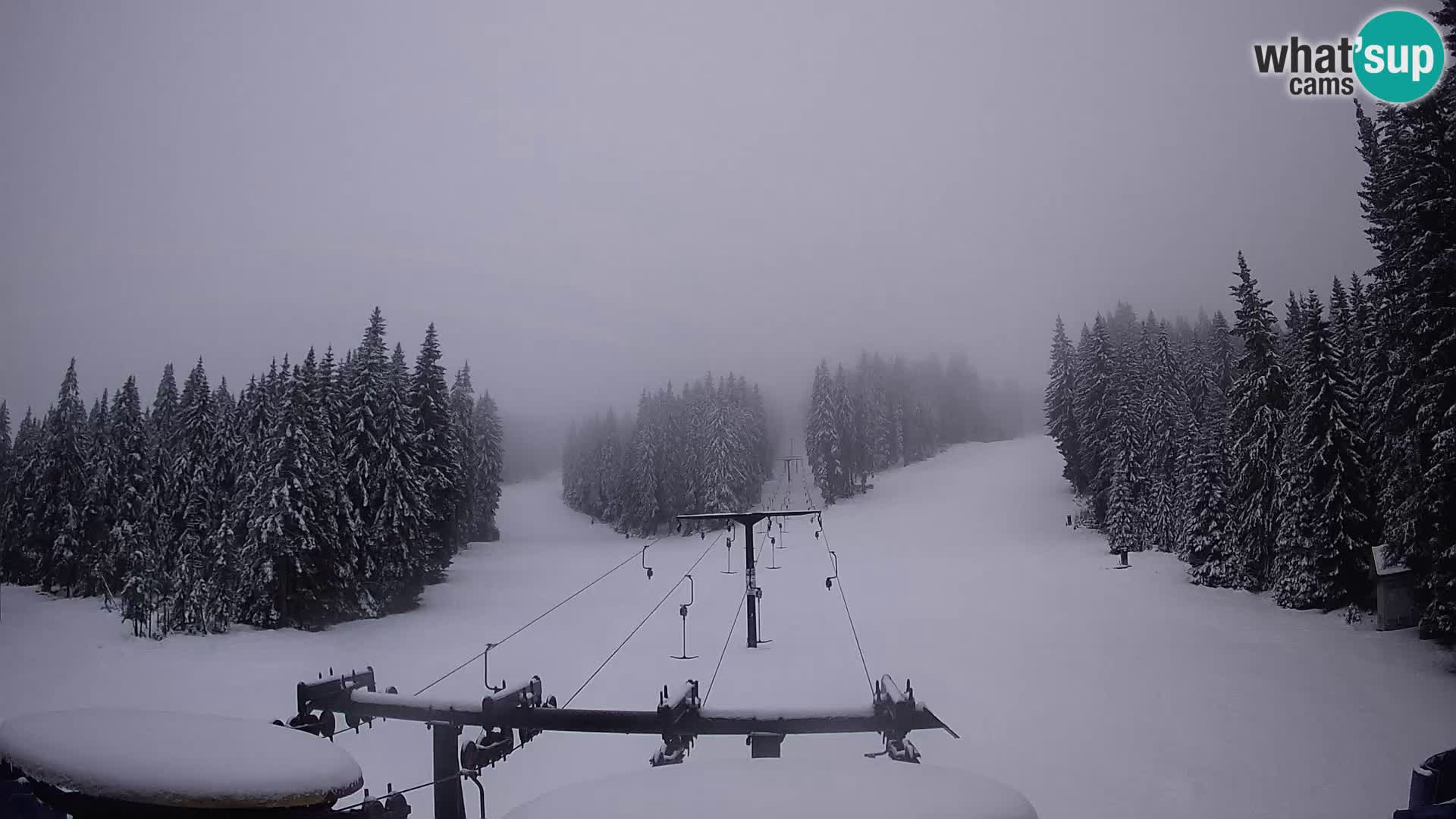 Comprensorio sciistico Rogla Webcam live Ostruščica piste 1 e 2