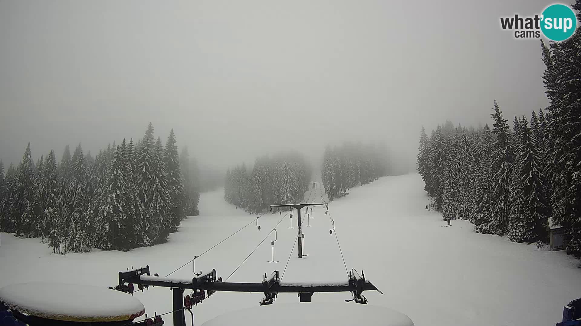 Estación de esquí Rogla Webcam Ostruščica pistas 1 y 2