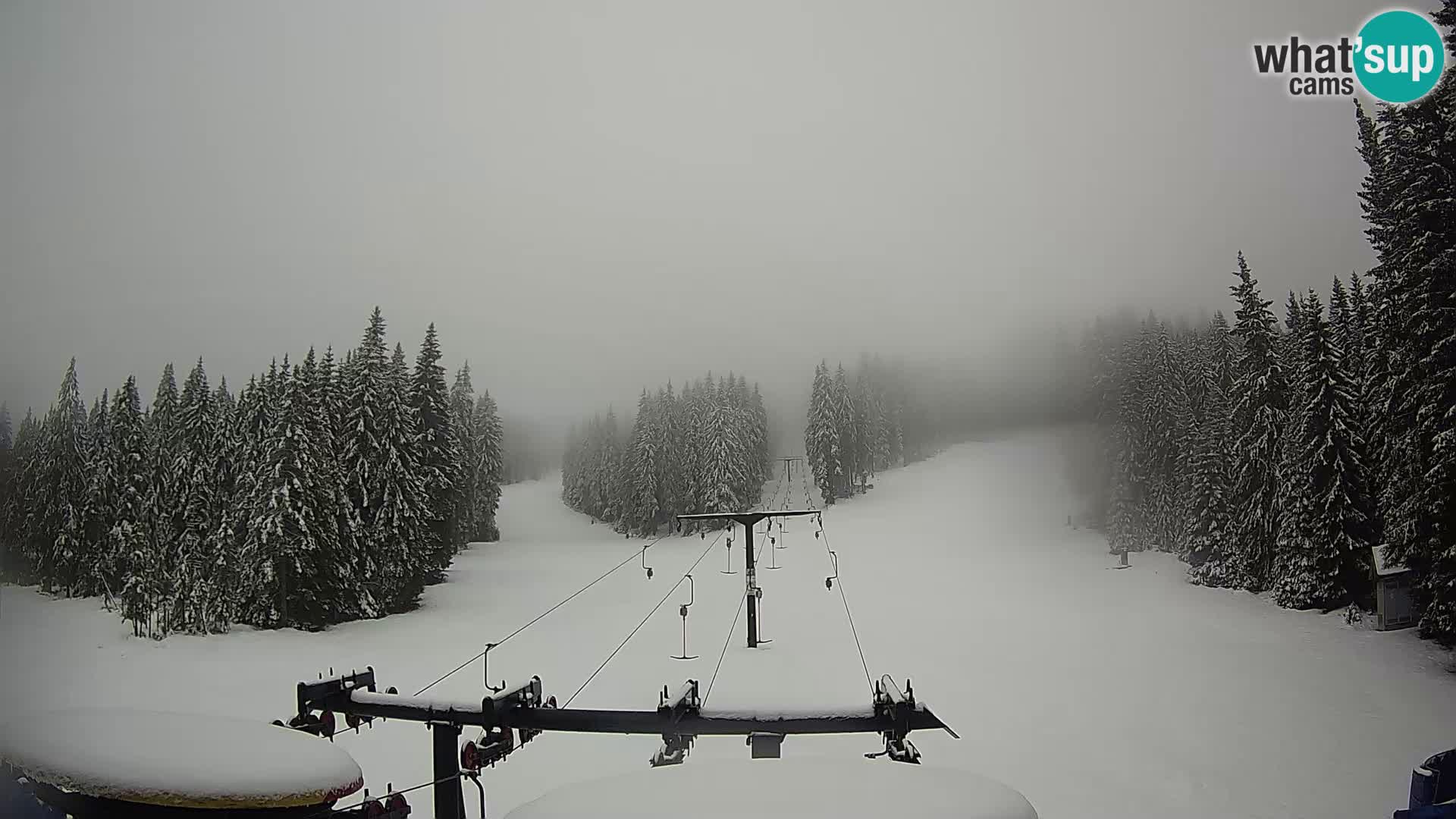 Estación de esquí Rogla Webcam Ostruščica pistas 1 y 2