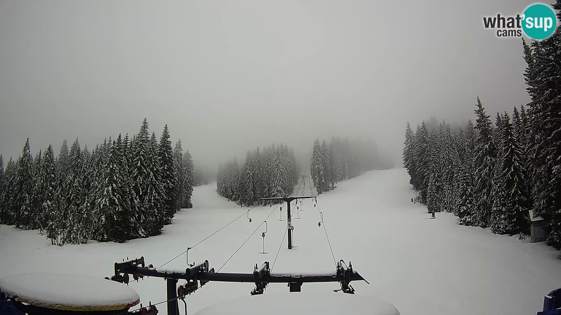 Station de ski Rogla Webcam Ostruščica pistes 1 et 2