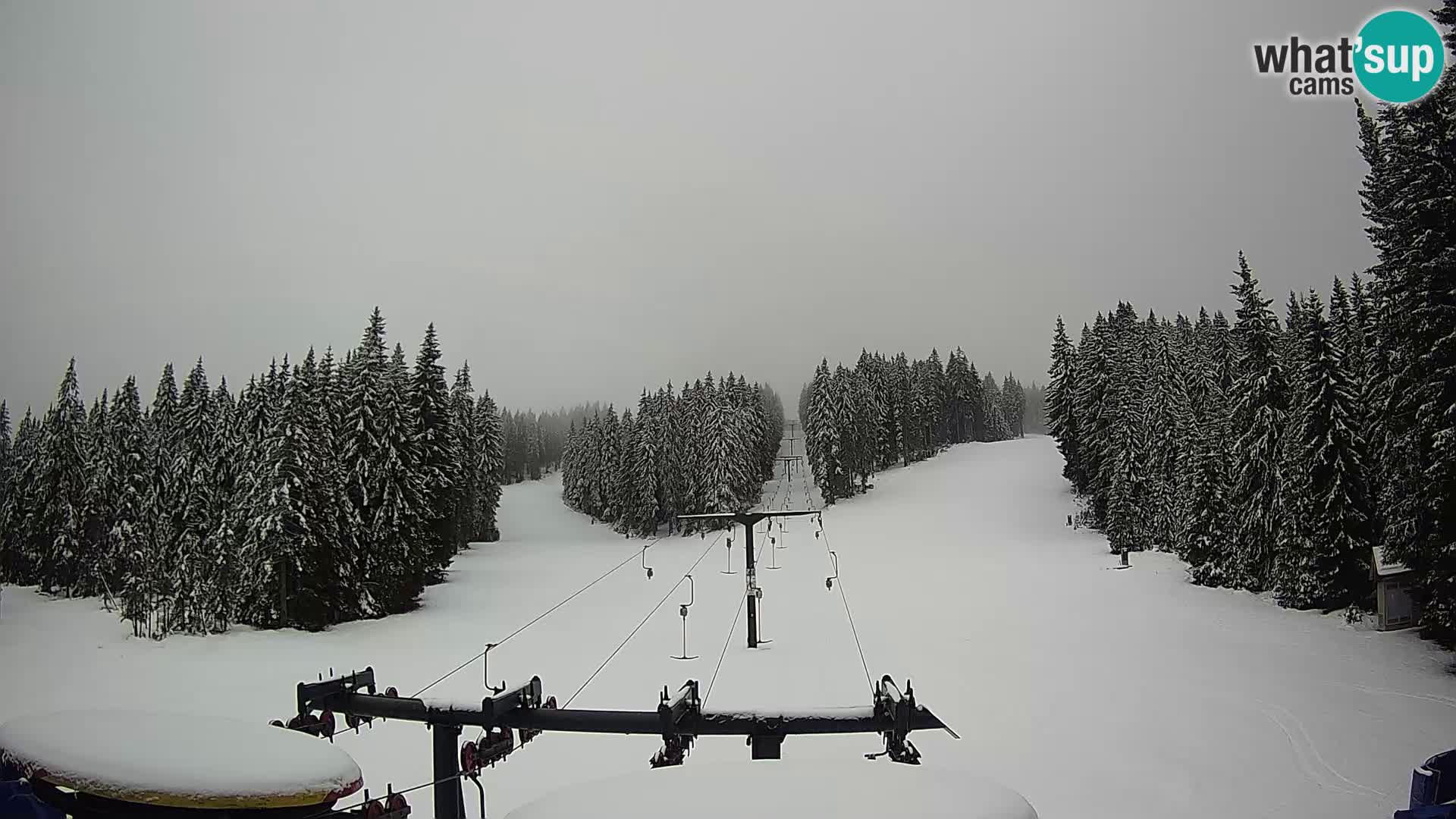 Estación de esquí Rogla Webcam Ostruščica pistas 1 y 2