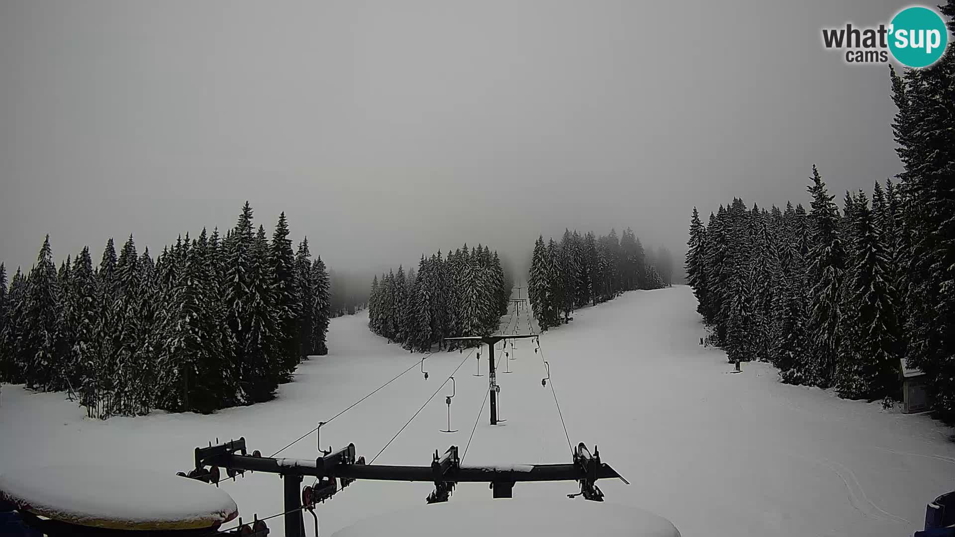 Station de ski Rogla Webcam Ostruščica pistes 1 et 2