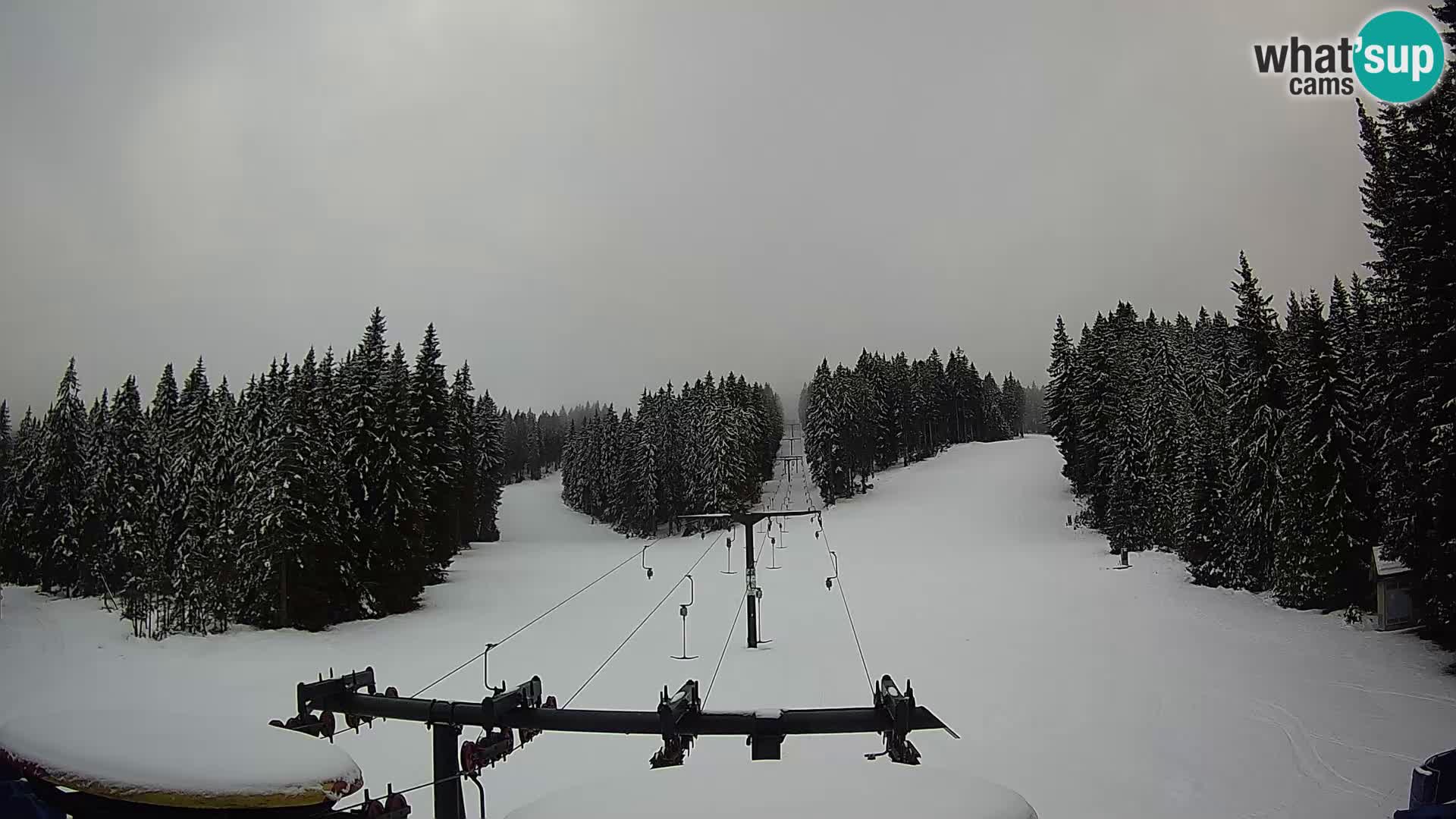 Station de ski Rogla Webcam Ostruščica pistes 1 et 2