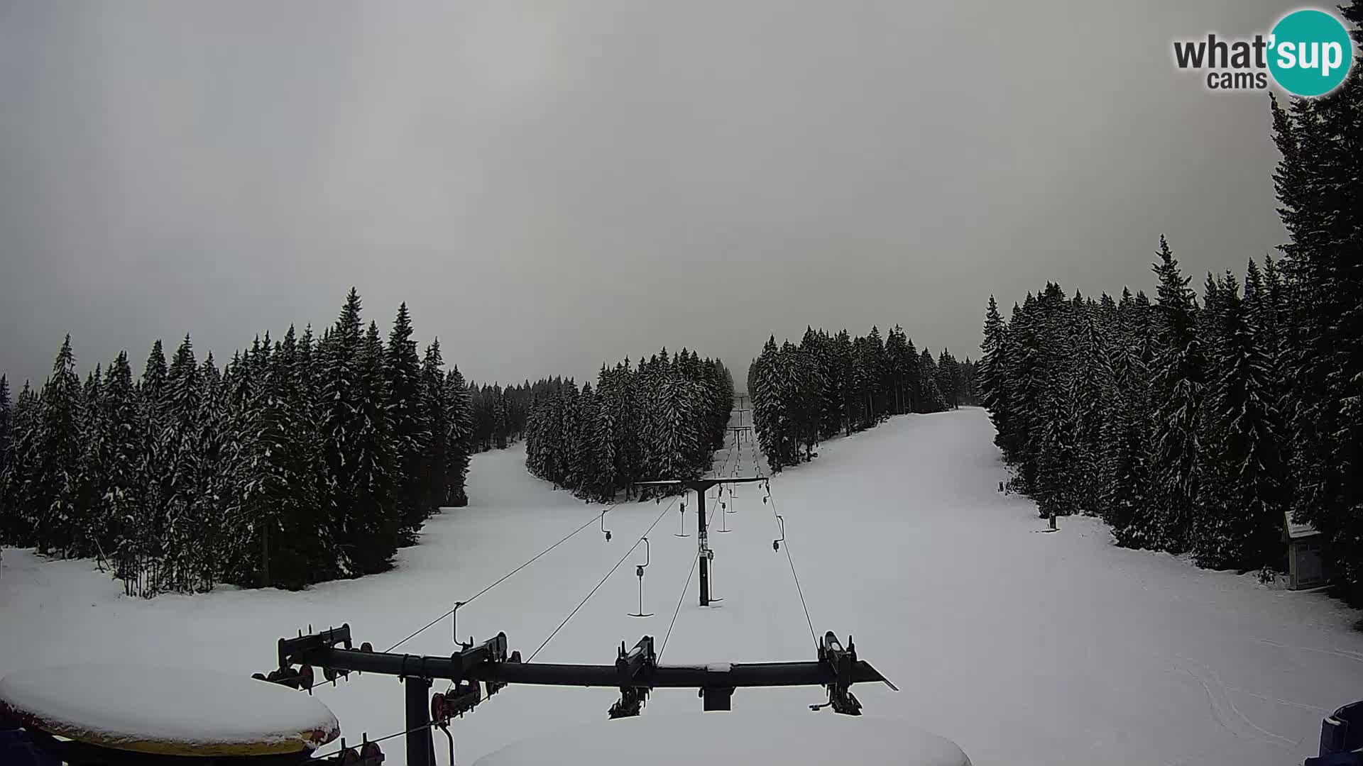 Skigebiet Rogla Webcam Ostruščica Piste 1 und 2