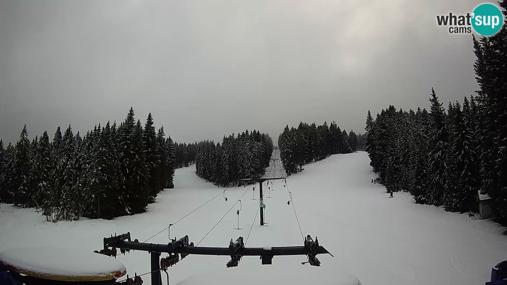 Webcam Live Rogla ski resort – Ostruščica