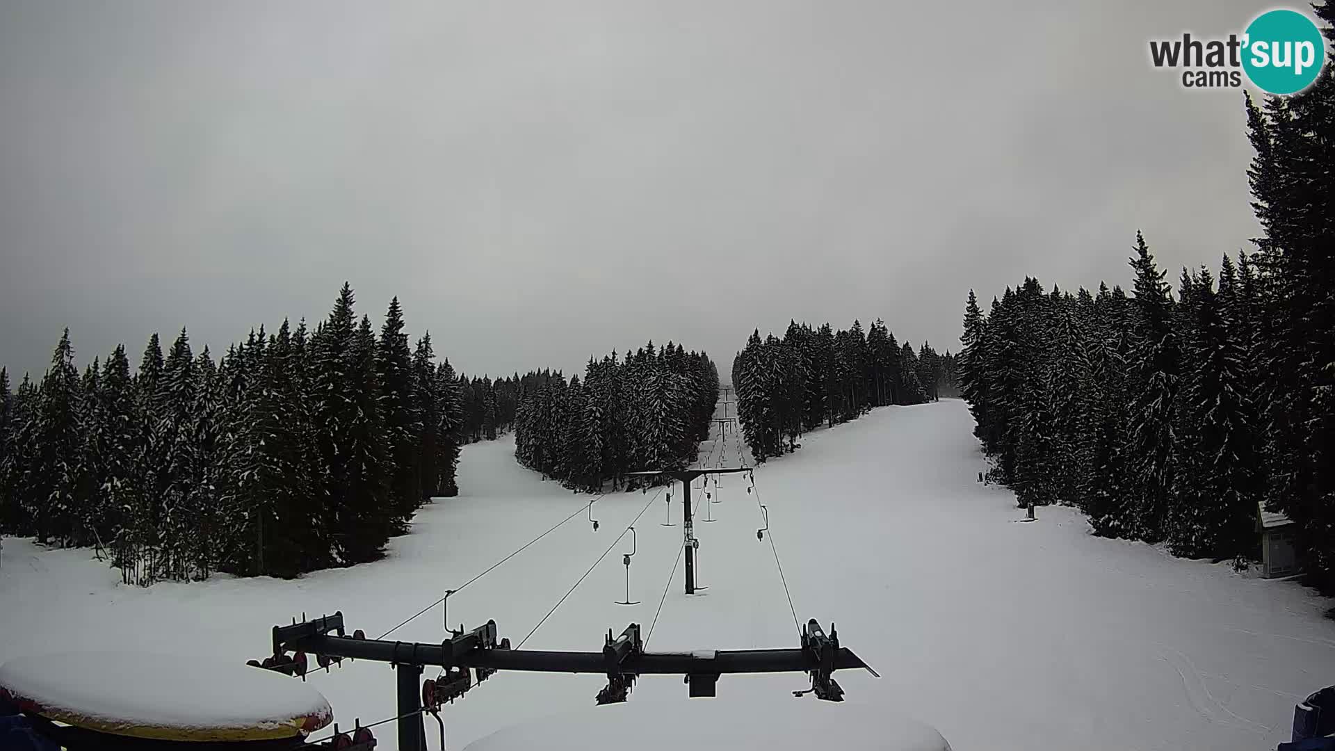 Comprensorio sciistico Rogla Webcam live Ostruščica piste 1 e 2