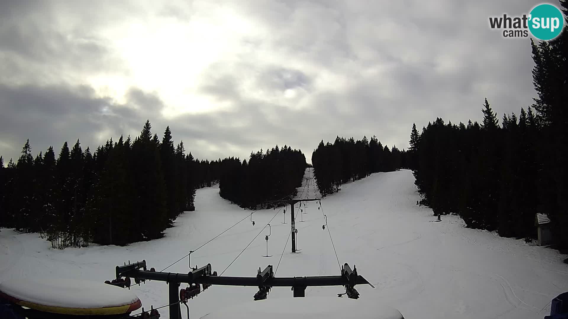 Comprensorio sciistico Rogla Webcam live Ostruščica piste 1 e 2