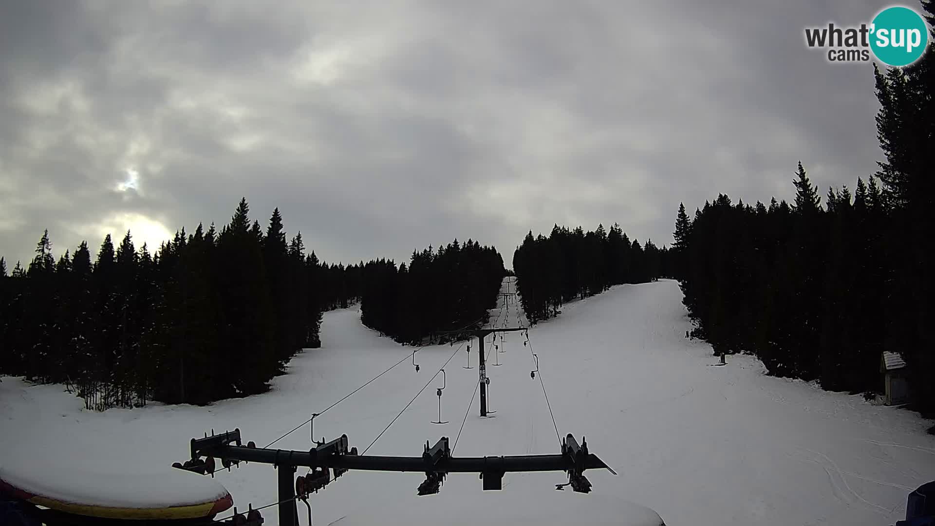 Estación de esquí Rogla Webcam Ostruščica pistas 1 y 2