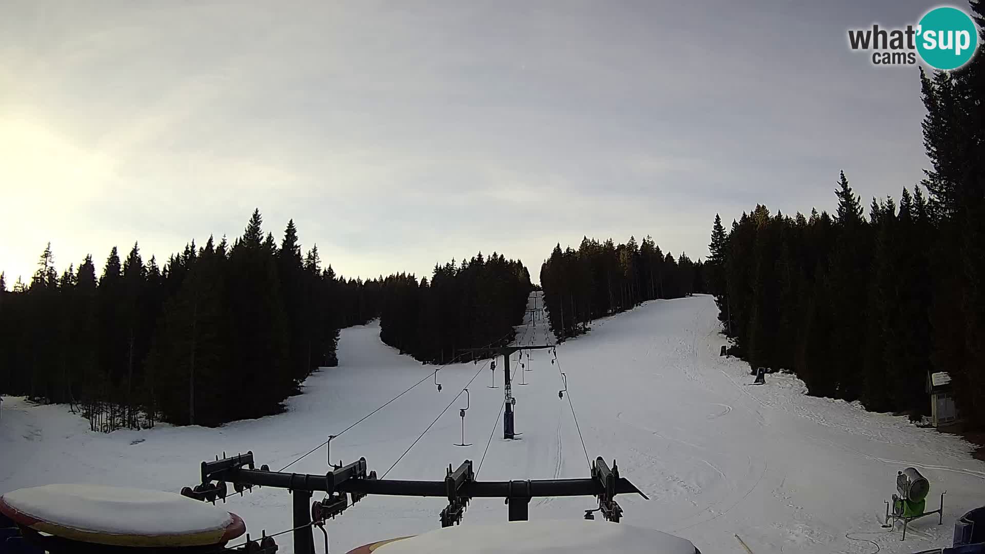 Webcam Live Rogla ski resort – Ostruščica