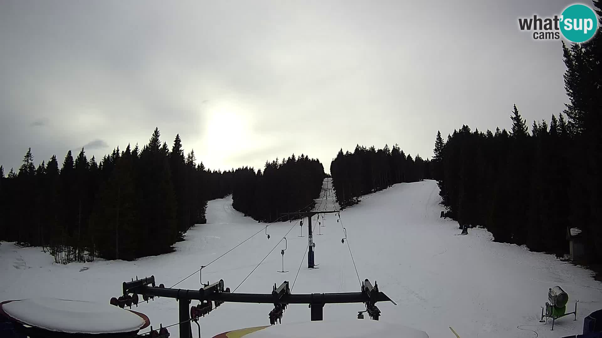 Skigebiet Rogla Webcam Ostruščica Piste 1 und 2