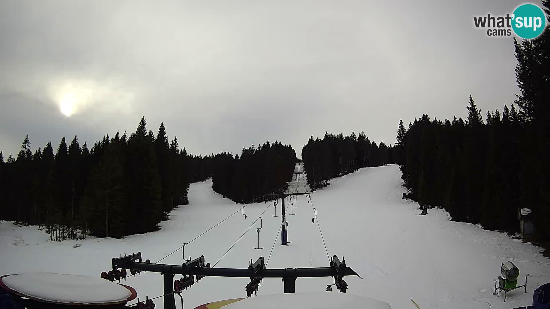 Skijalište Rogla web kamera Ostruščica proga 1 in 2