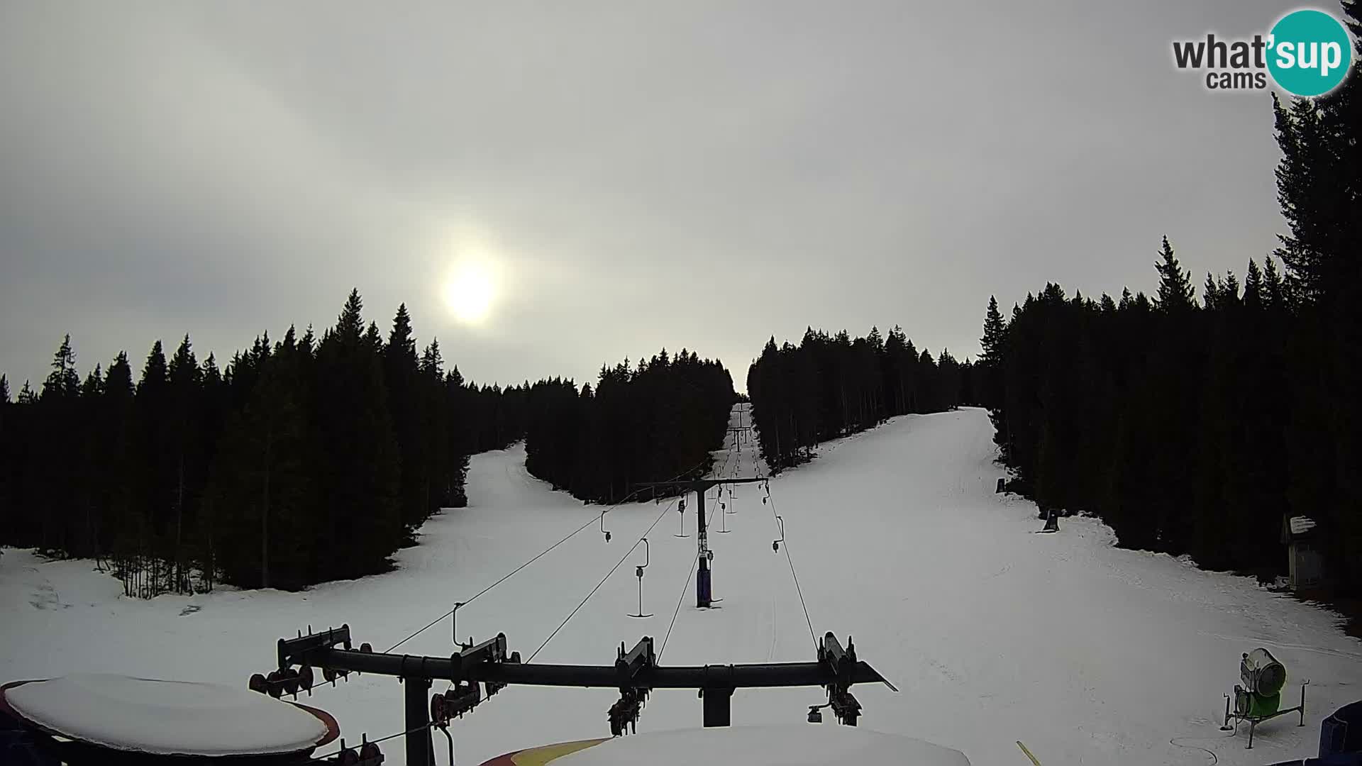 Comprensorio sciistico Rogla Webcam live Ostruščica piste 1 e 2