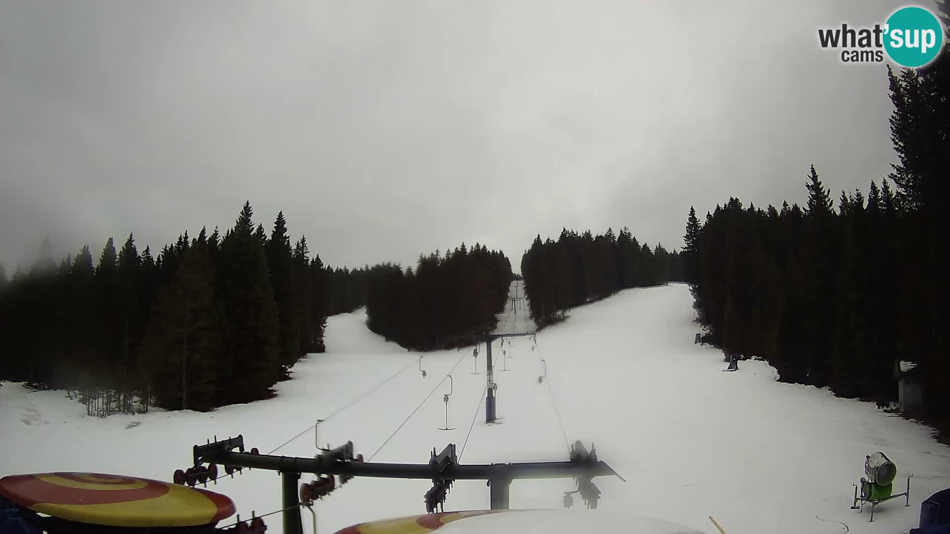 Webcam Live Rogla ski resort – Ostruščica
