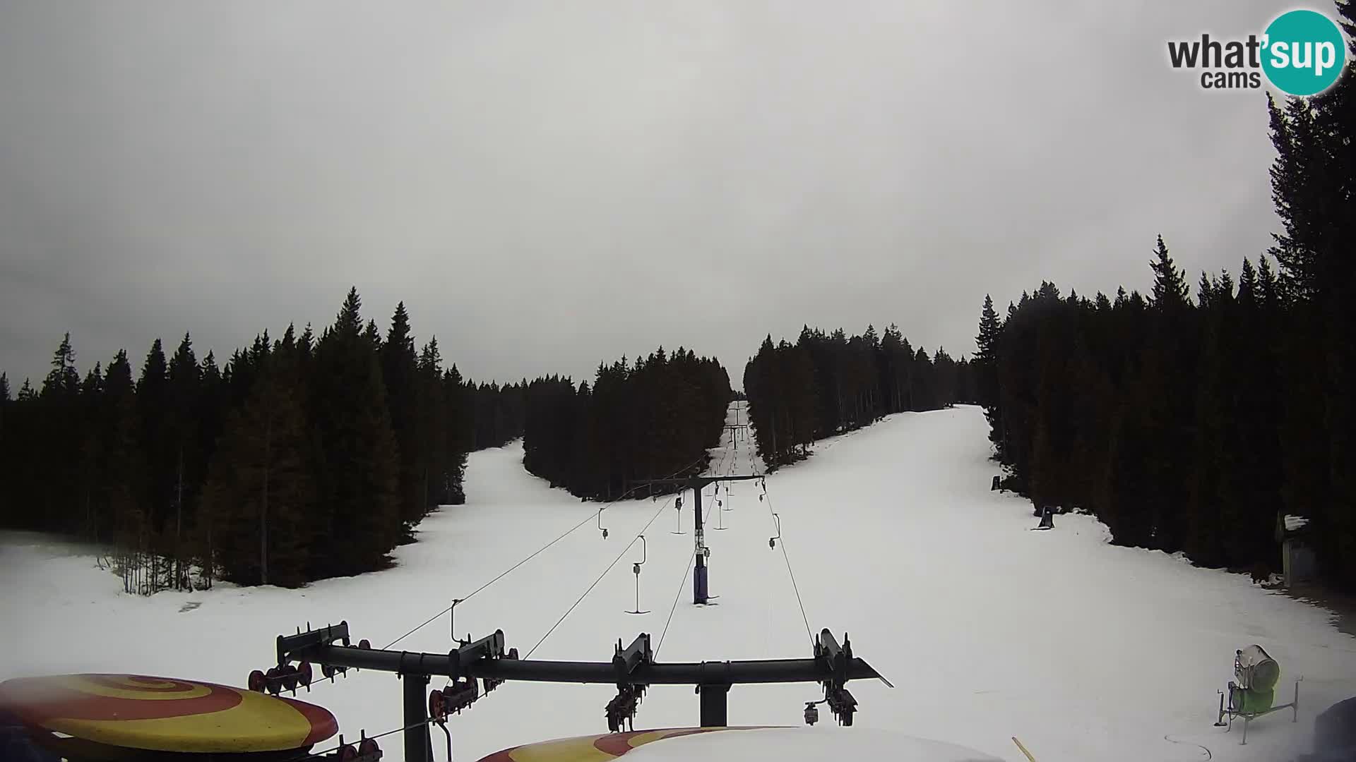 Skigebiet Rogla Webcam Ostruščica Piste 1 und 2