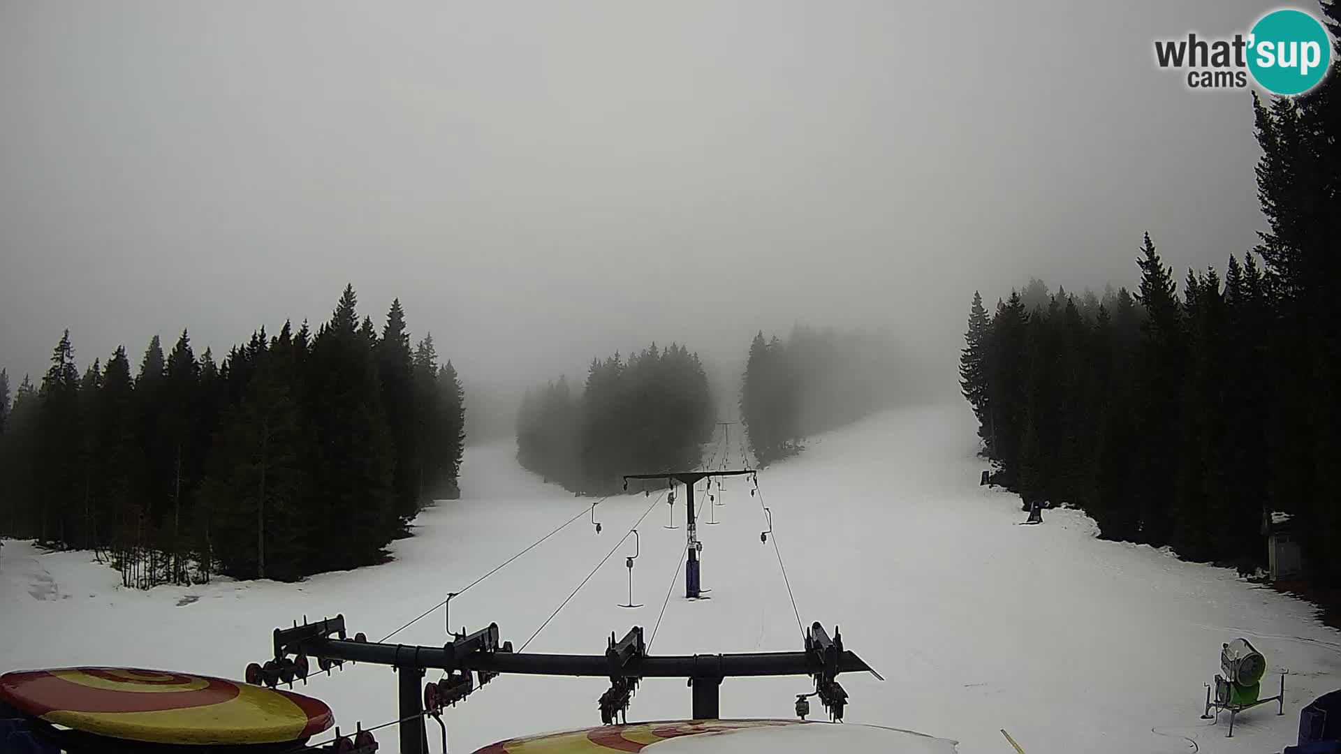 Comprensorio sciistico Rogla Webcam live Ostruščica piste 1 e 2