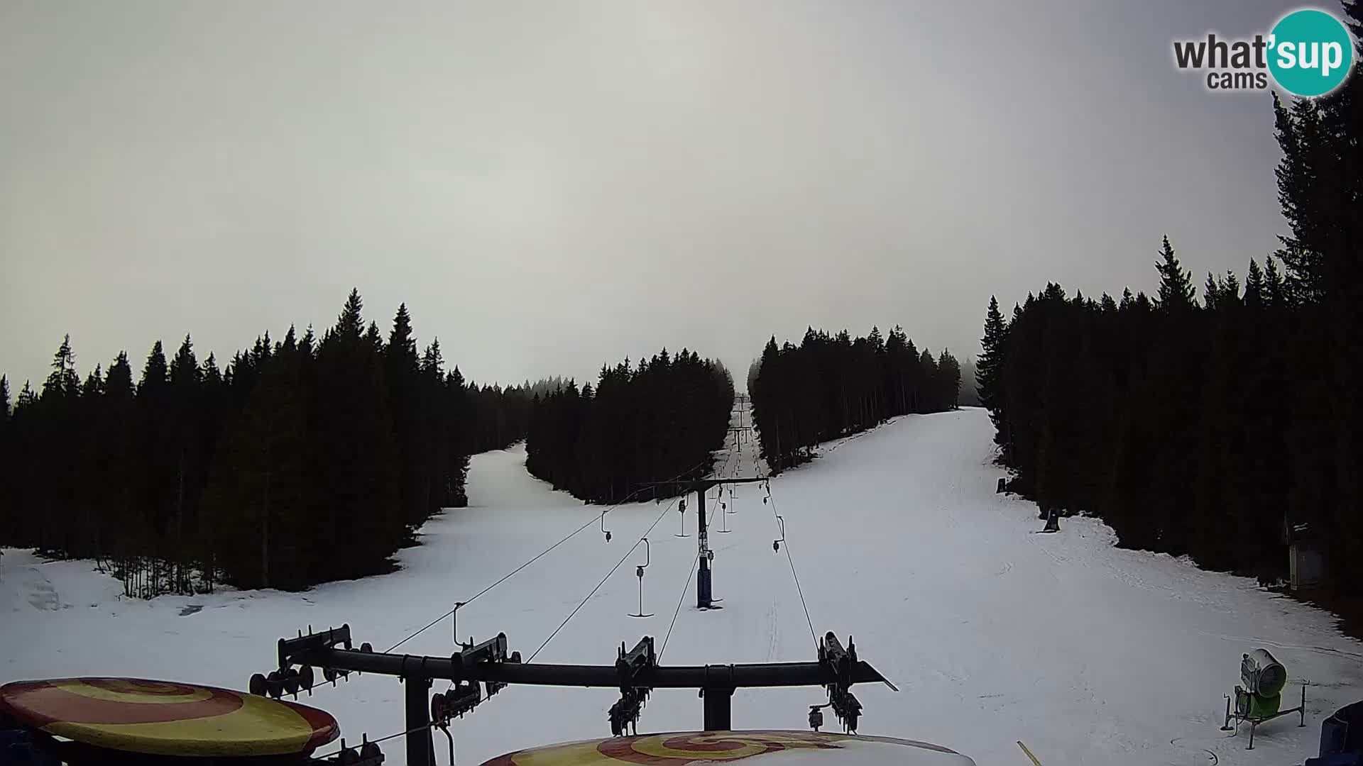 Skigebiet Rogla Webcam Ostruščica Piste 1 und 2