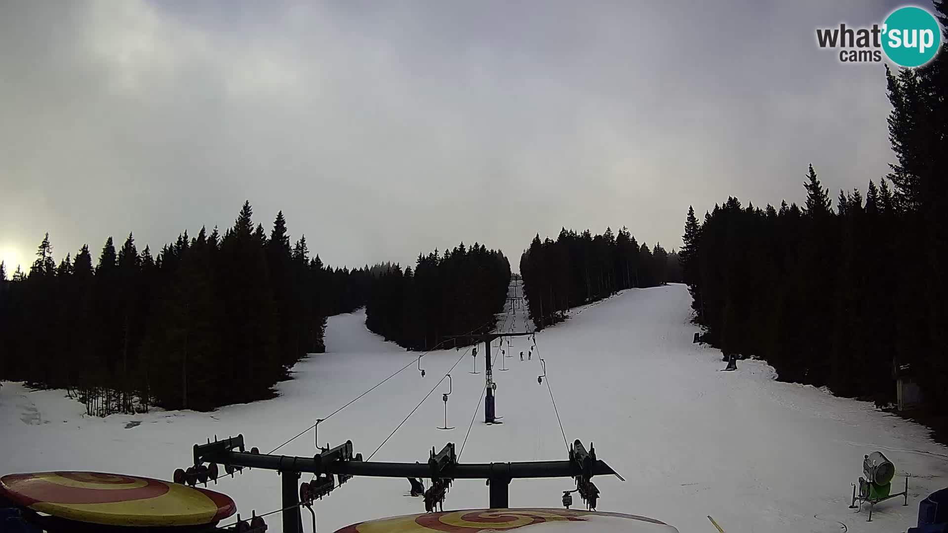 Station de ski Rogla Webcam Ostruščica pistes 1 et 2