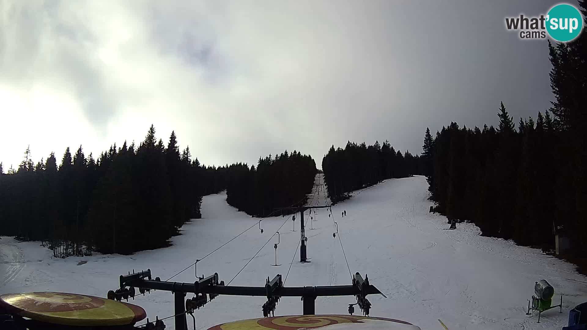 Comprensorio sciistico Rogla Webcam live Ostruščica piste 1 e 2