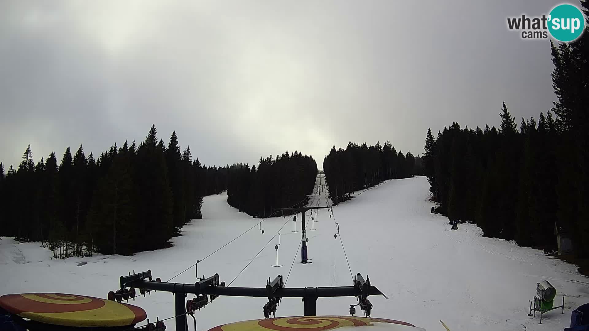 Skigebiet Rogla Webcam Ostruščica Piste 1 und 2