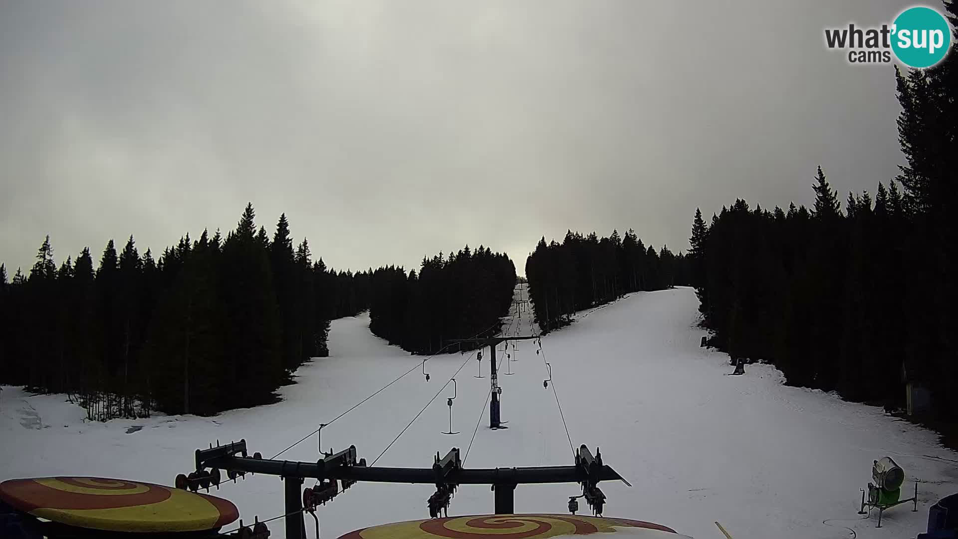 Station de ski Rogla Webcam Ostruščica pistes 1 et 2