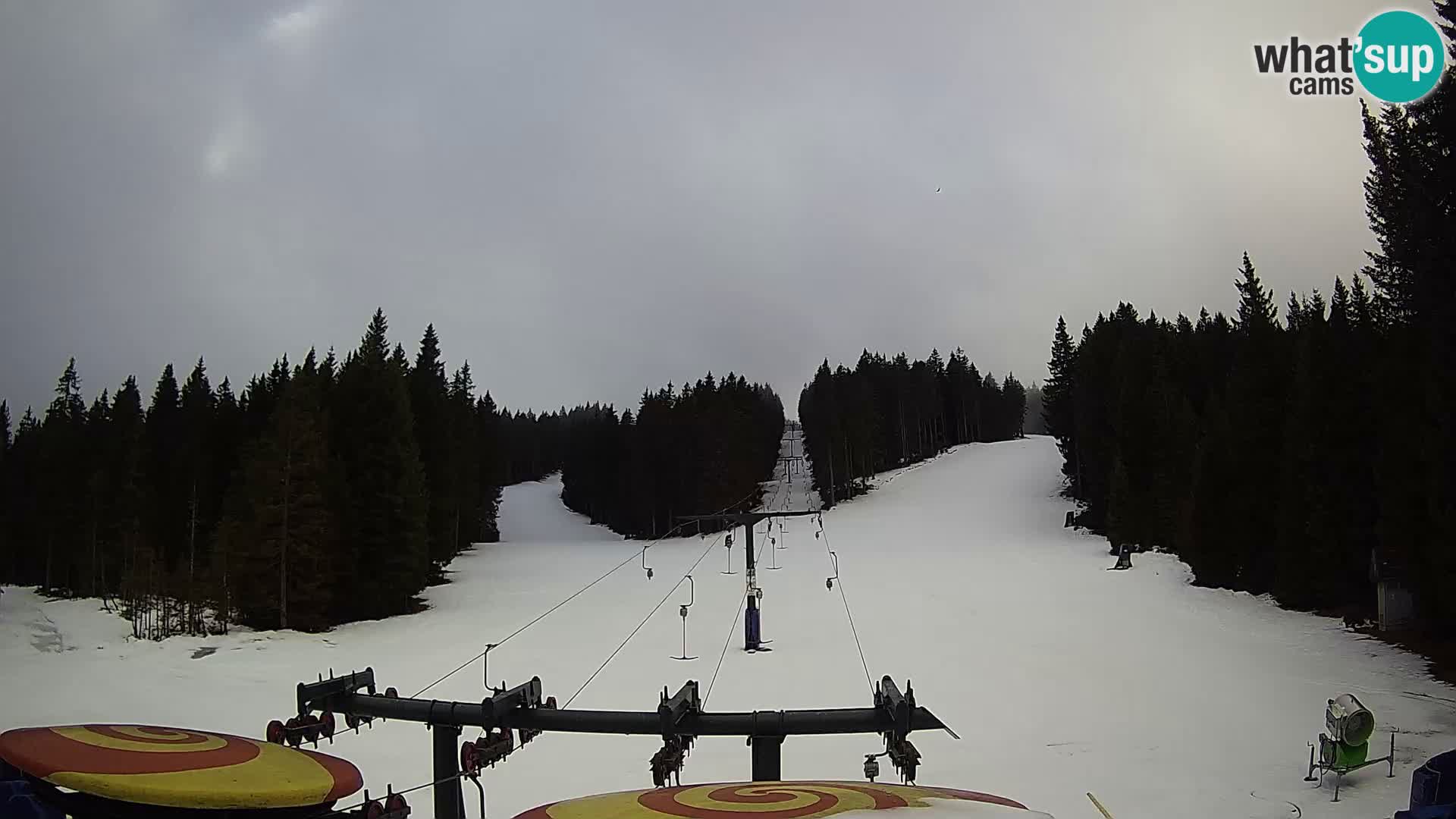 Comprensorio sciistico Rogla Webcam live Ostruščica piste 1 e 2