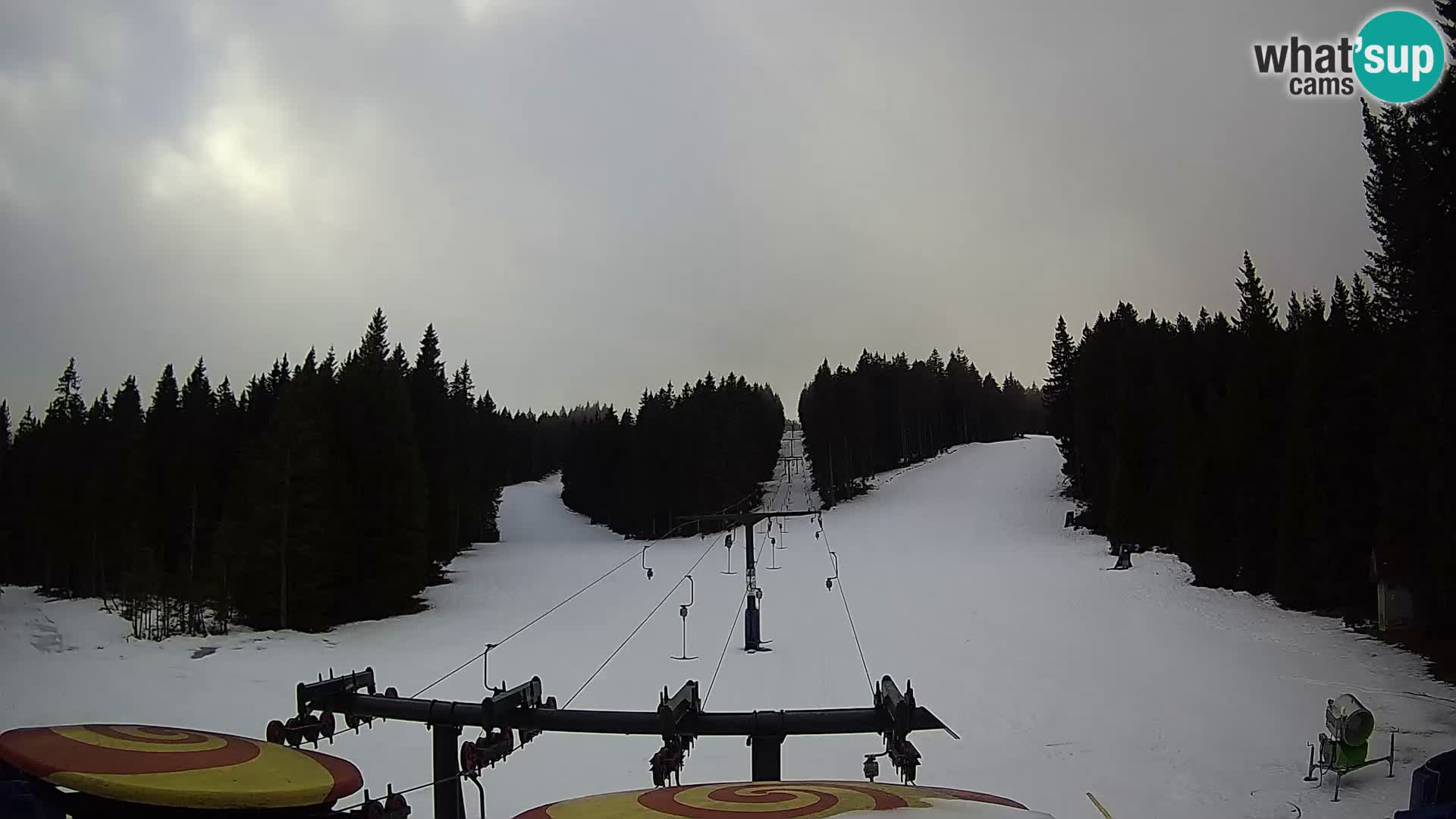 Estación de esquí Rogla Webcam Ostruščica pistas 1 y 2