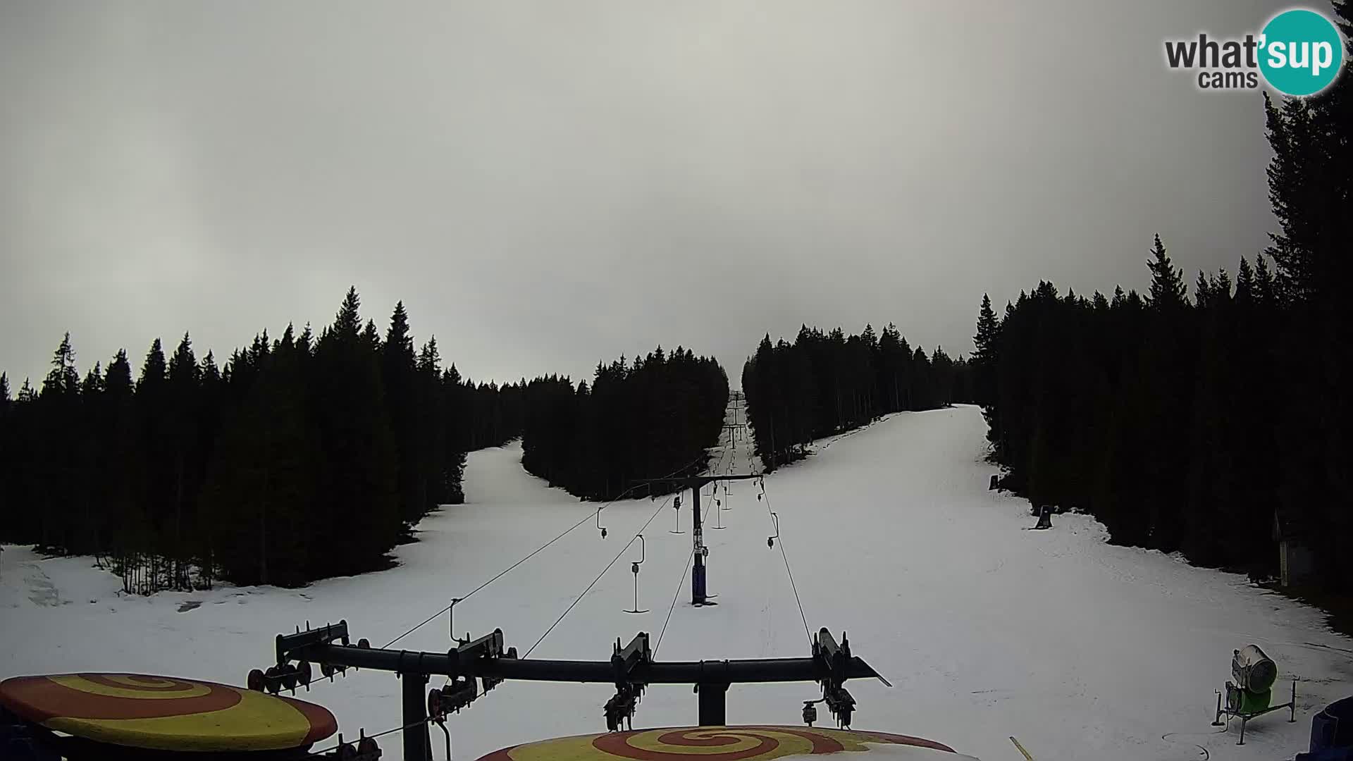 Station de ski Rogla Webcam Ostruščica pistes 1 et 2