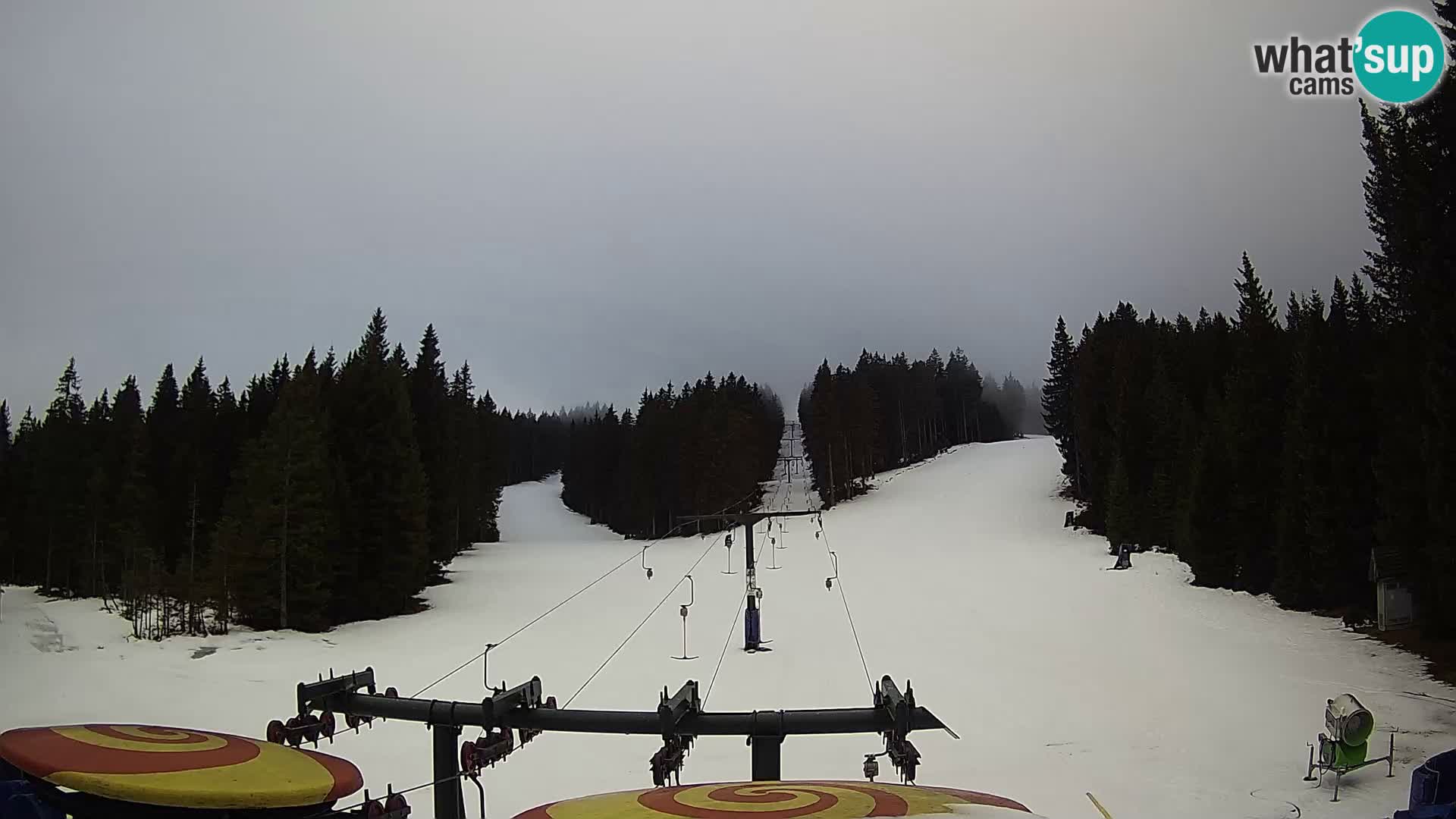 Station de ski Rogla Webcam Ostruščica pistes 1 et 2